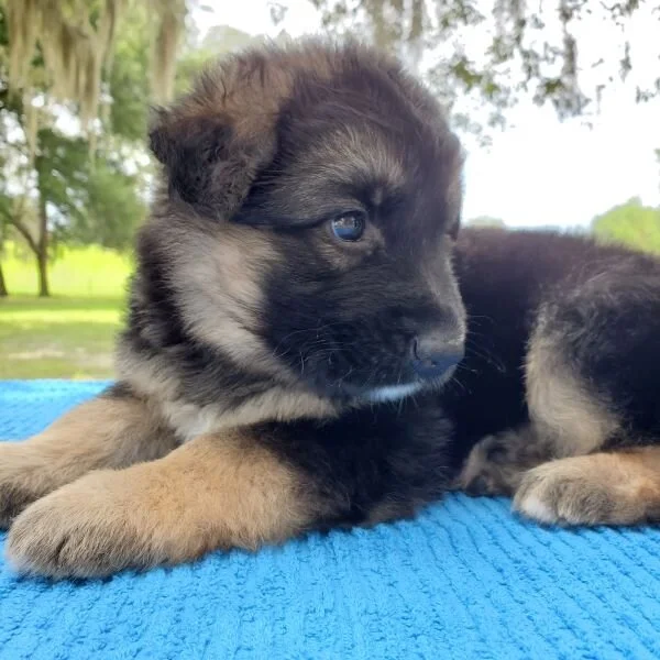 So Curious!