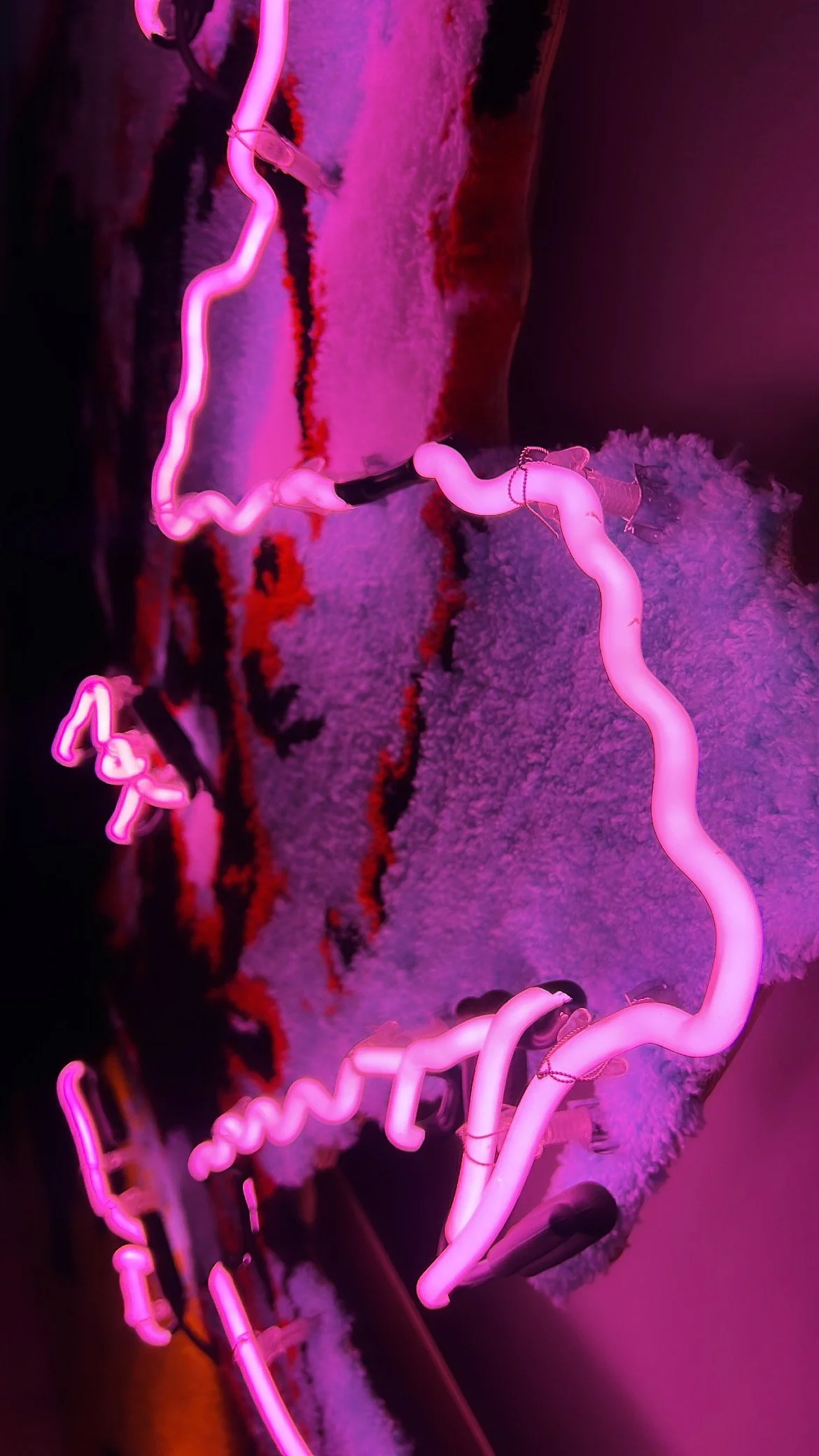 5060882C-F54A-407E-BE73-7CF012D8613A 2.JPG