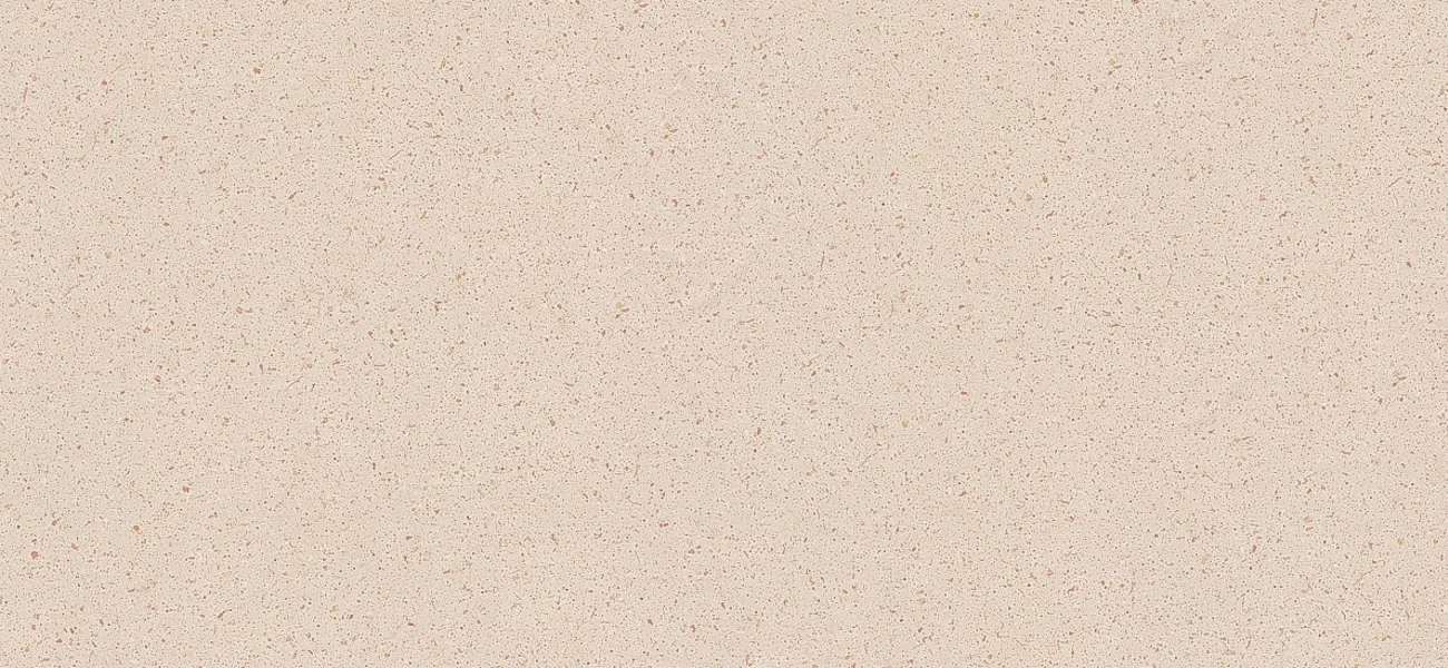 018L chip piasek.jpg