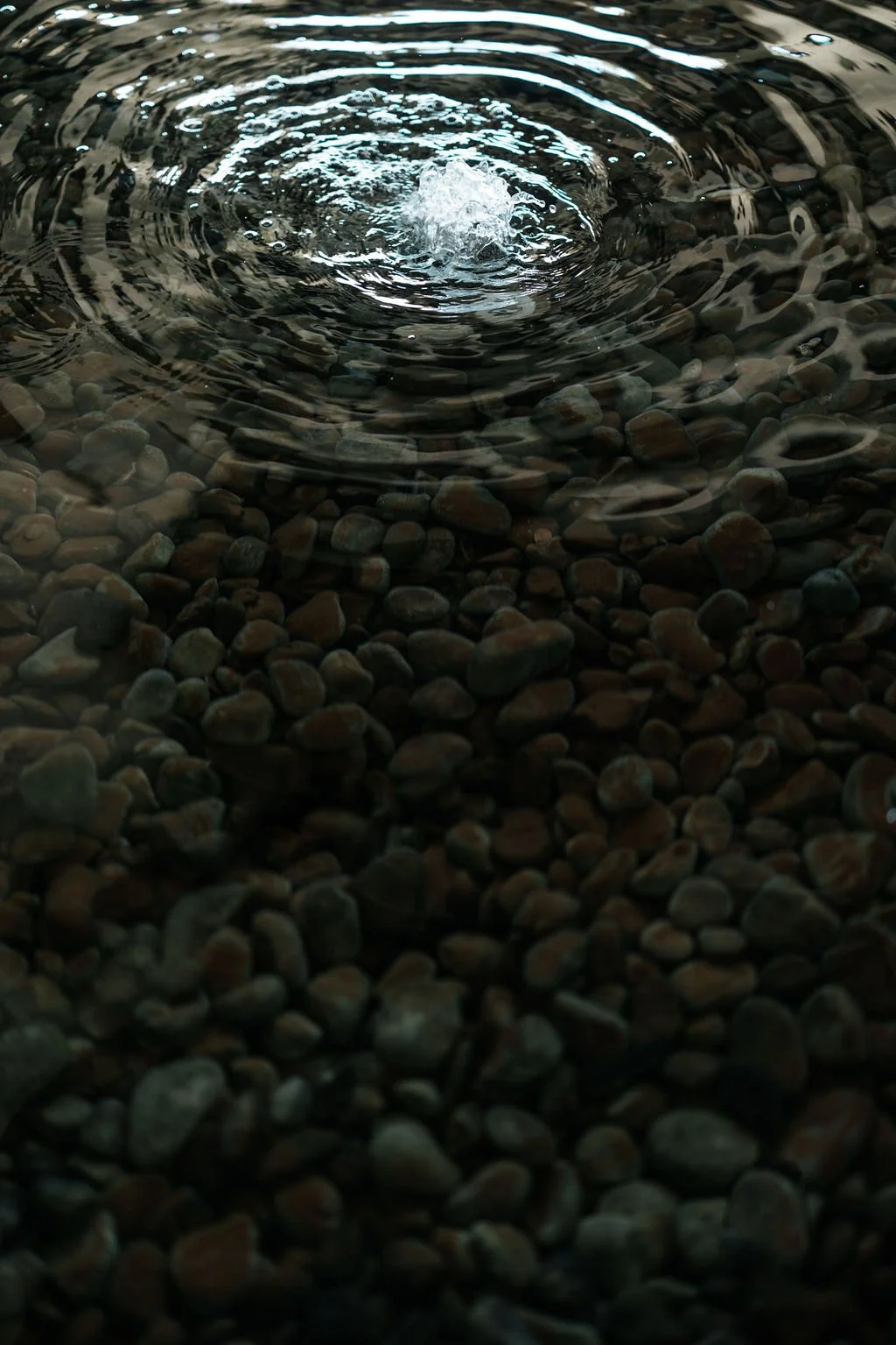 1P1A6081.jpg