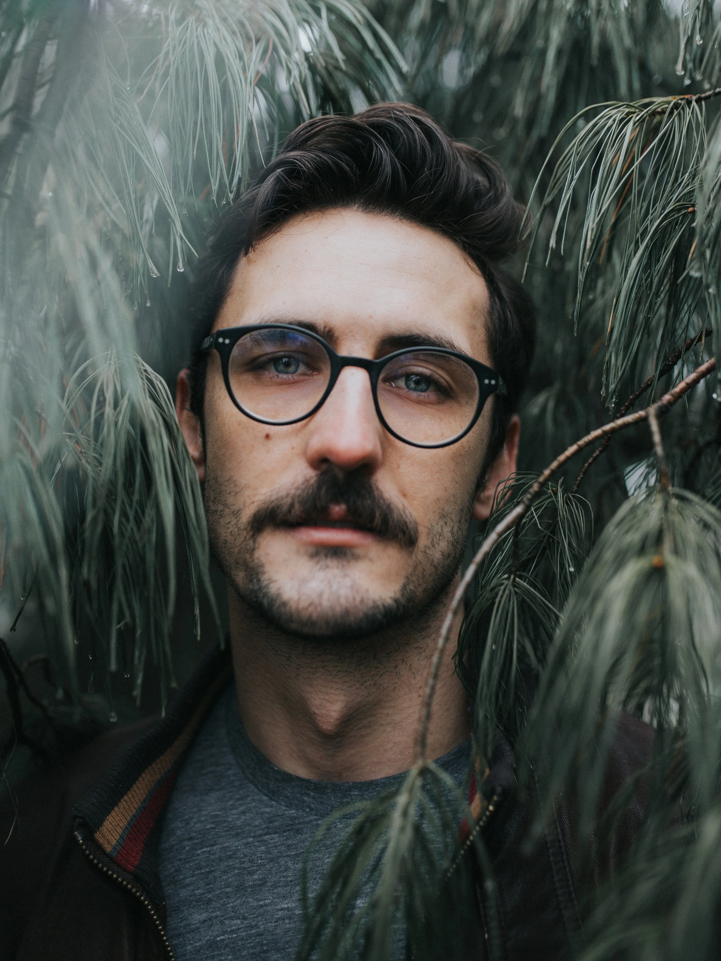 A young man with glasses and dark hair partially obscured by green pine branches, looking directly at the camera.