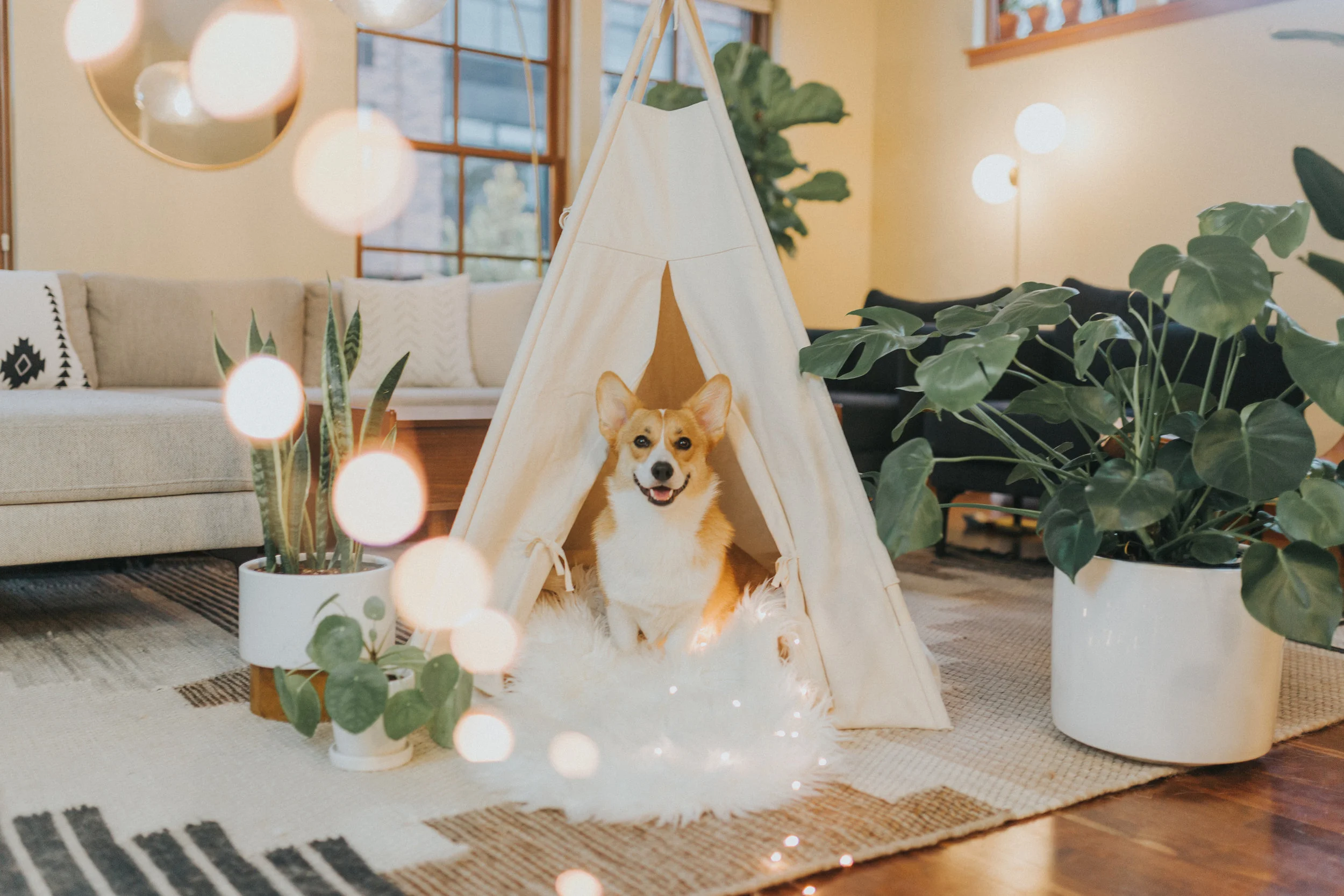 Morty in His Happy Place