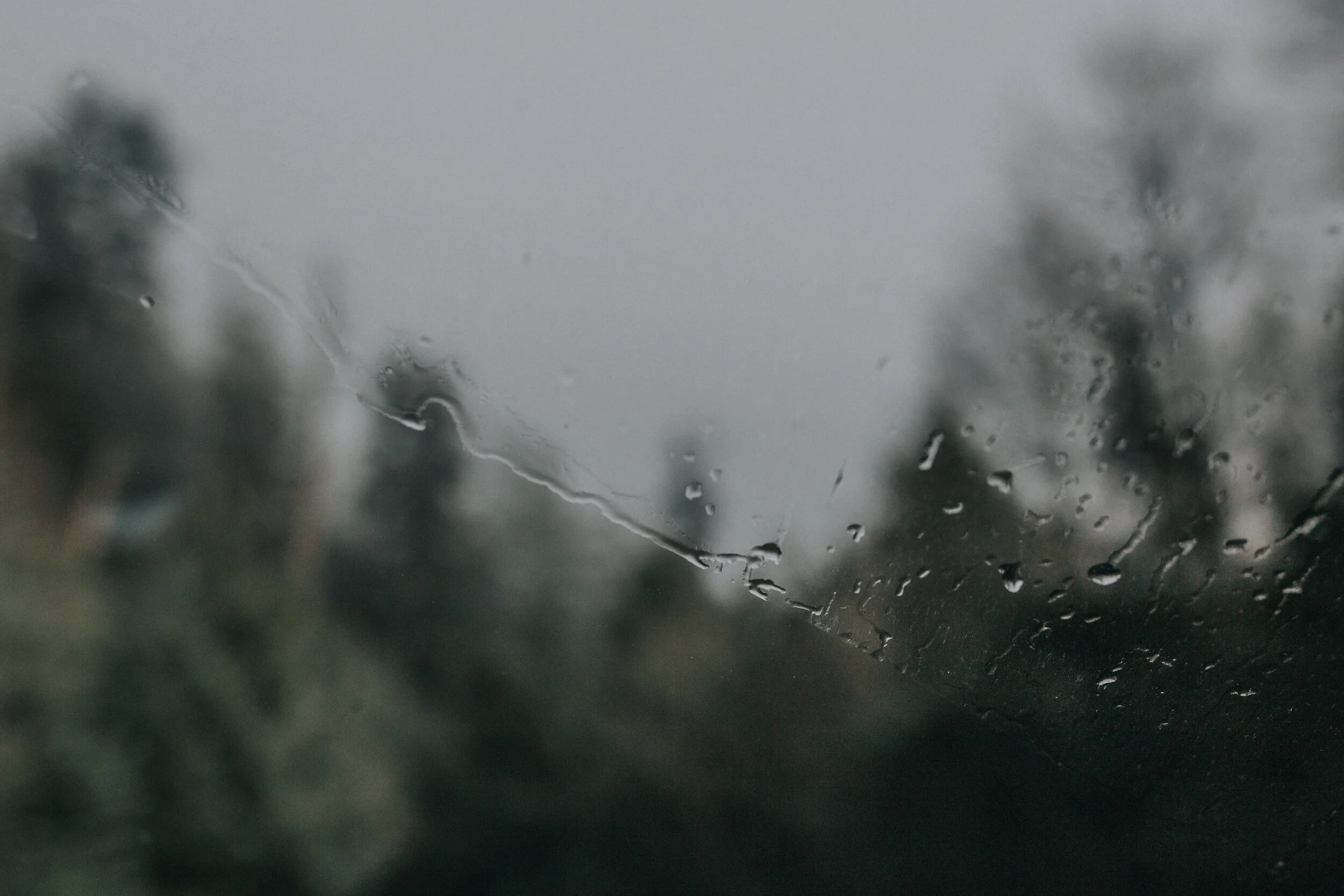 Rainy window with water droplets and blurred trees outside.
