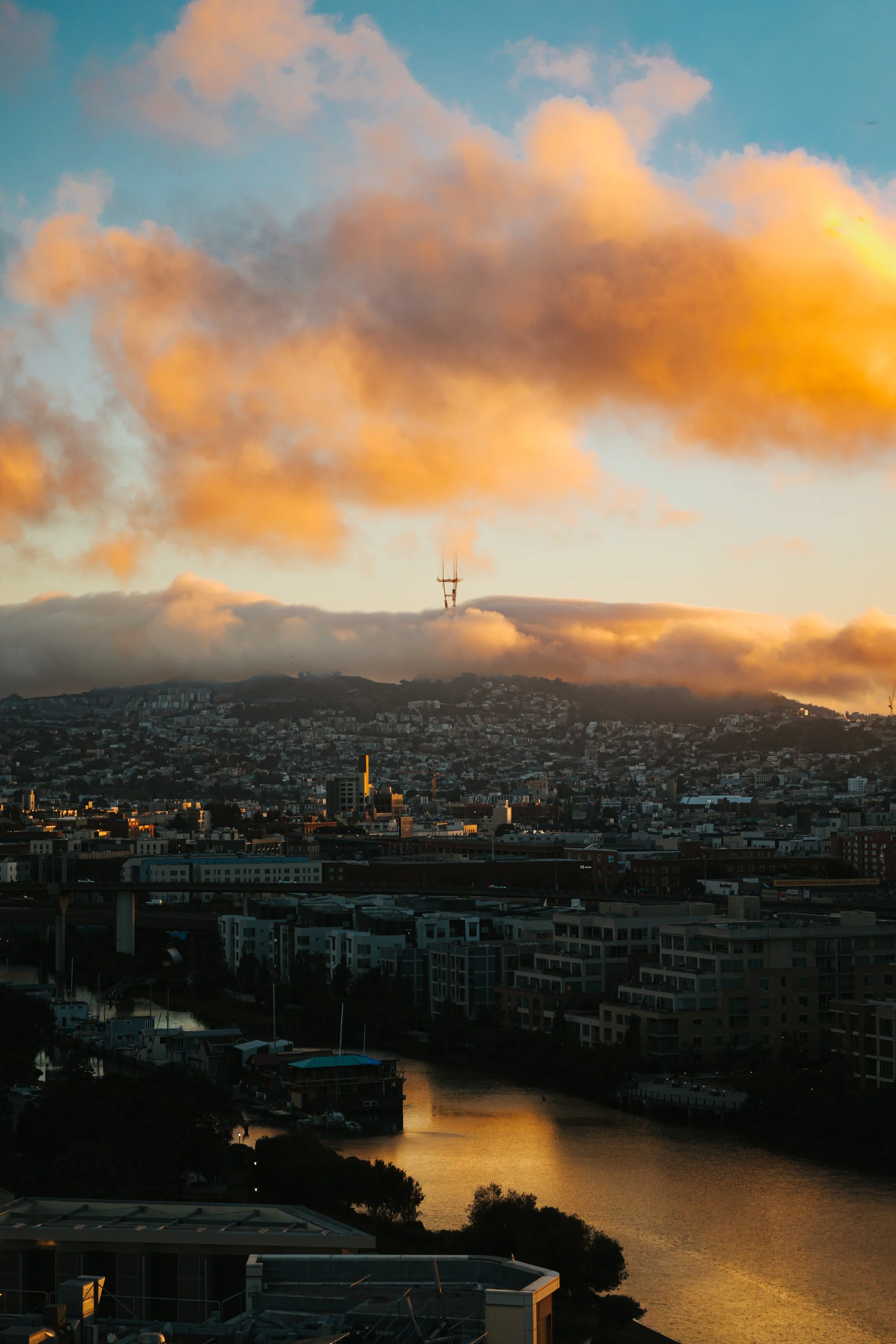 1P1A7458.jpg