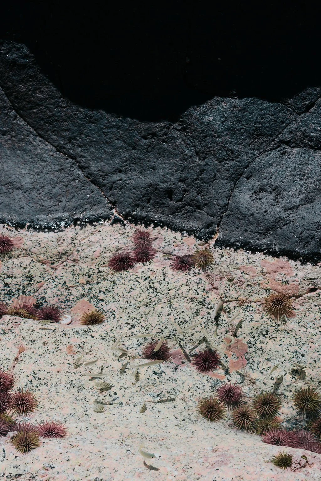 1P1A5947.jpg