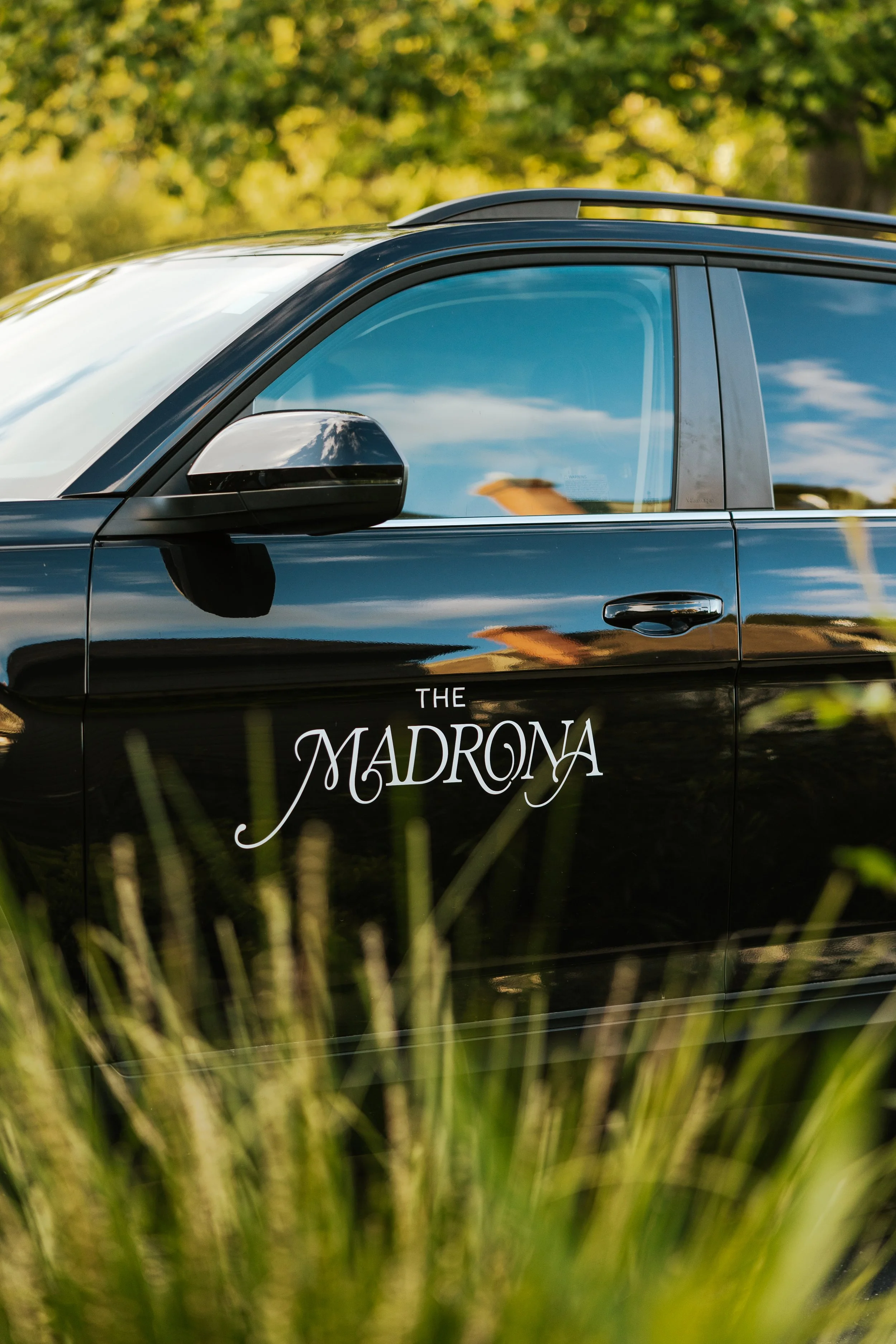 A black car with reflective windows and a shiny exterior, partially obscured by tall green grass, with trees and a blue sky with clouds in the background.