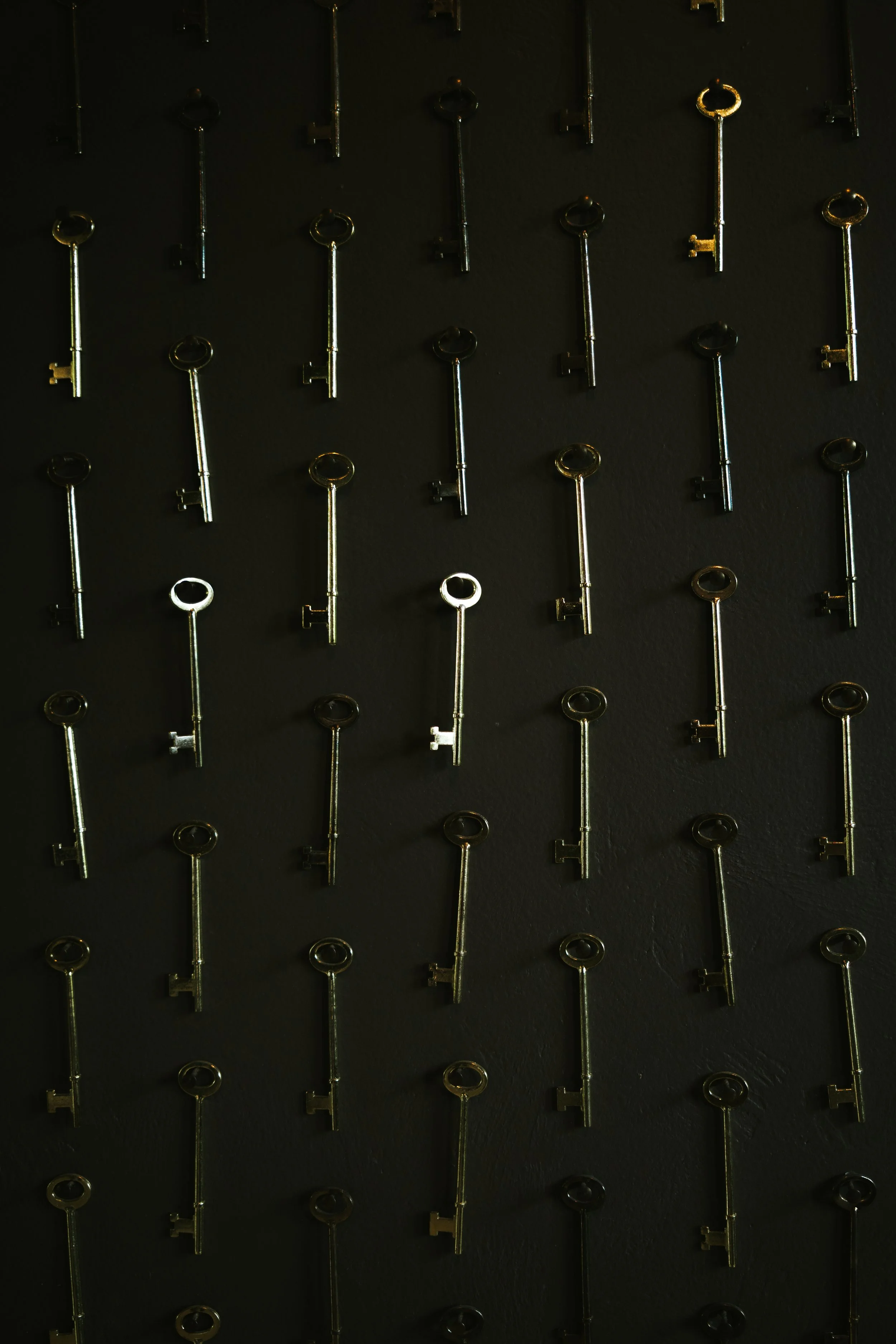 1P1A4991.jpg