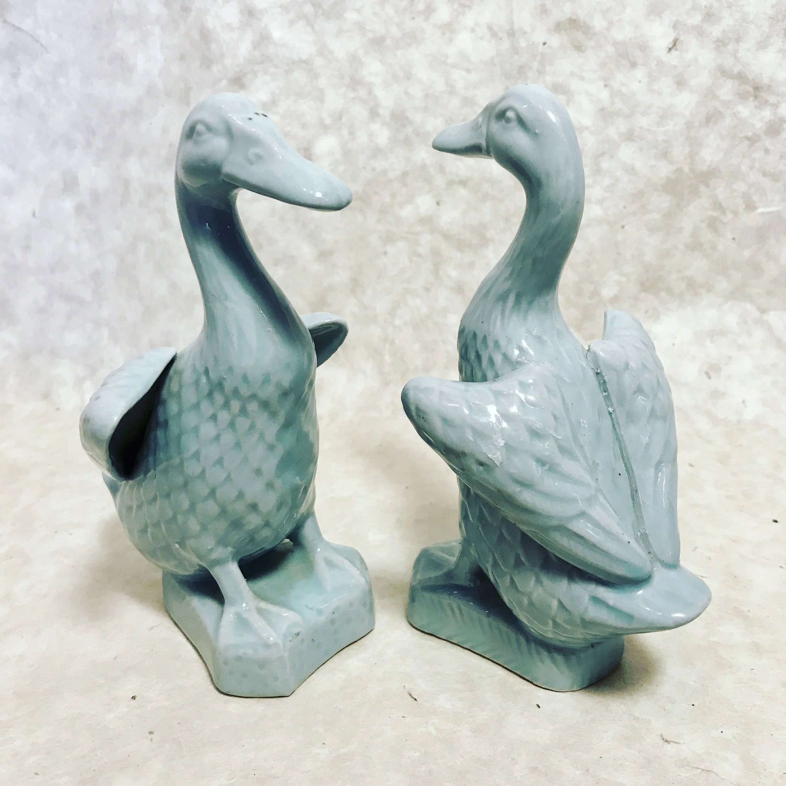 Pair of Ducks 