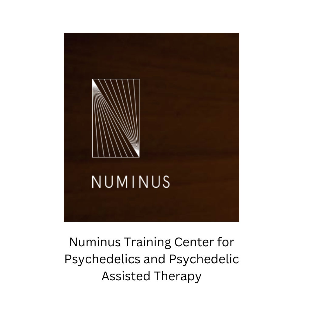 Numinus logo.png