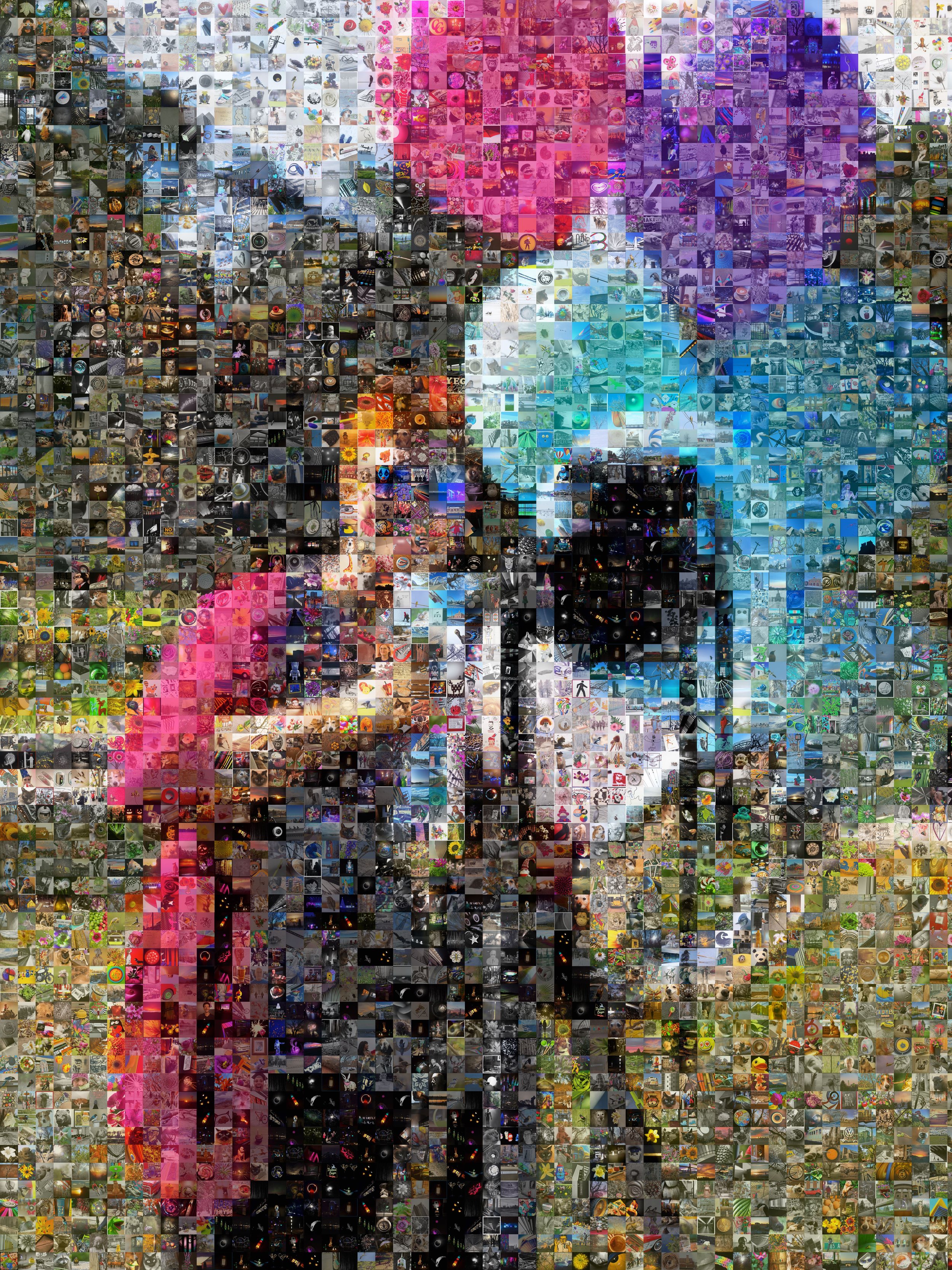  CBC Article and Video about Clare’s Photo-A-Day Project