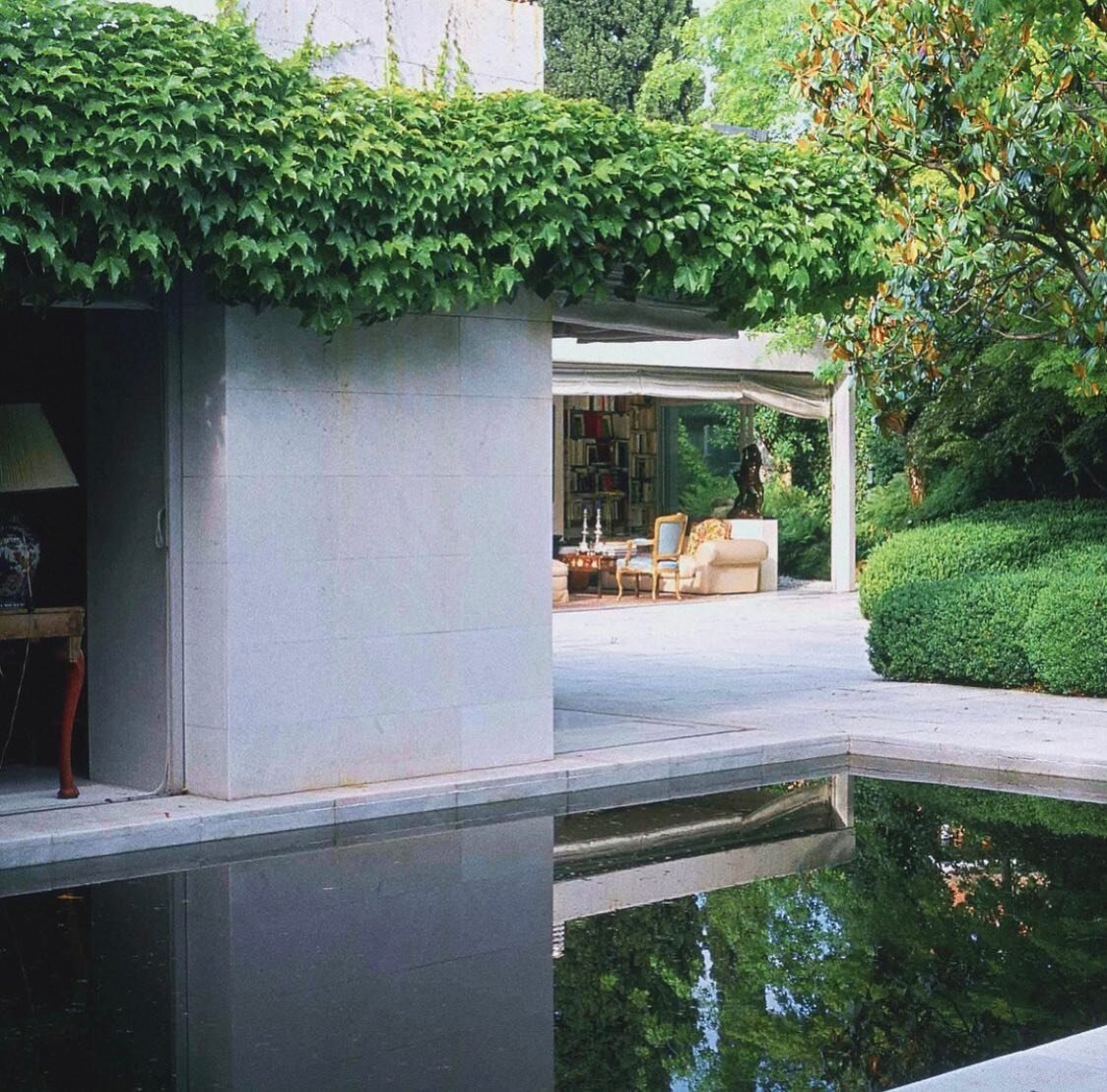 Garden in Aravaca, Madrid, Spain, 1981. 🦚
@carunchogardener | @monacellipress | Architect Richard Neutra
#moodboard #inspiredby