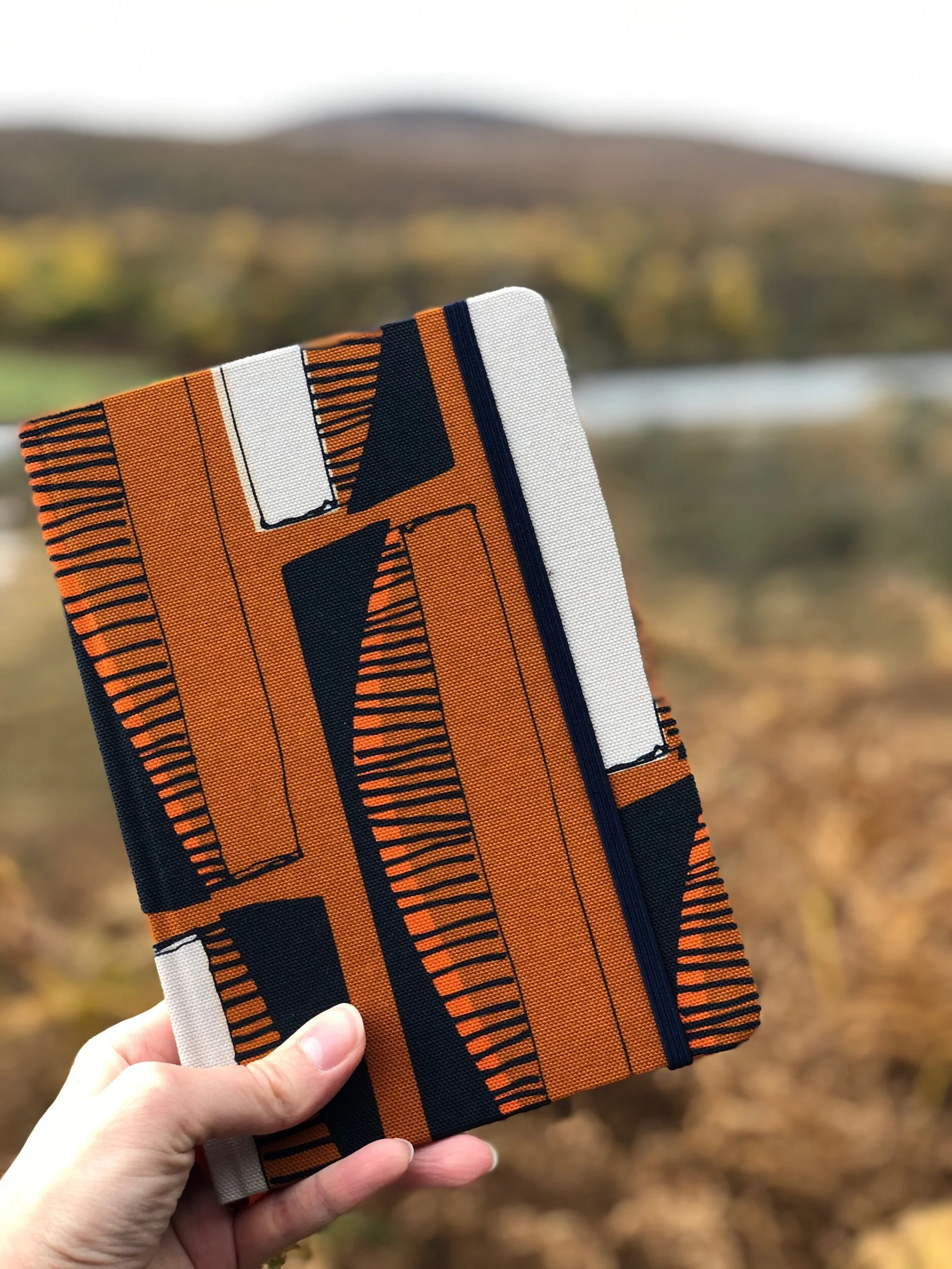 ED4B3953-4137-48B8-93D3-FDFC0C27F156