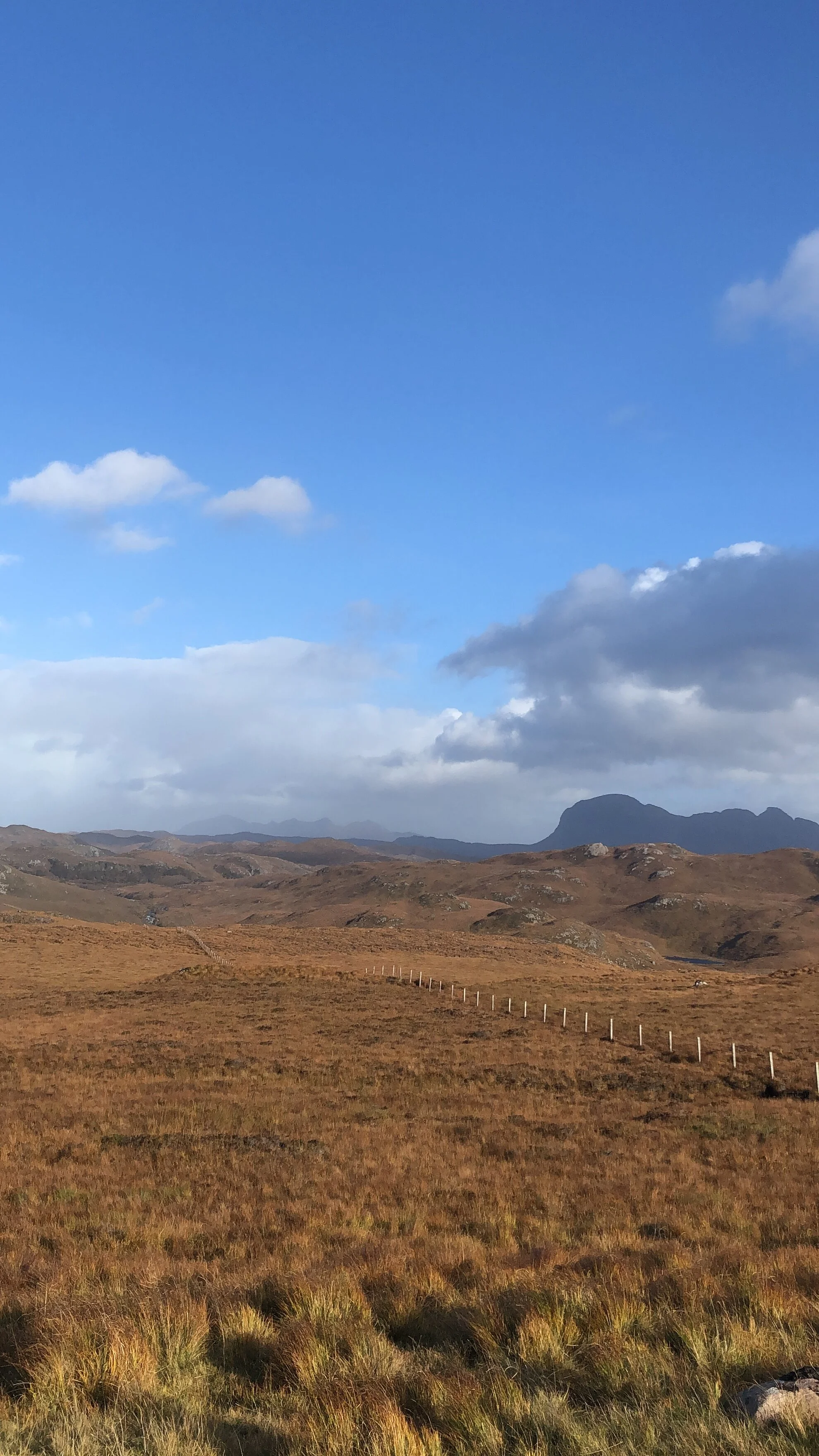 Lochiner - Ullapool.jpeg