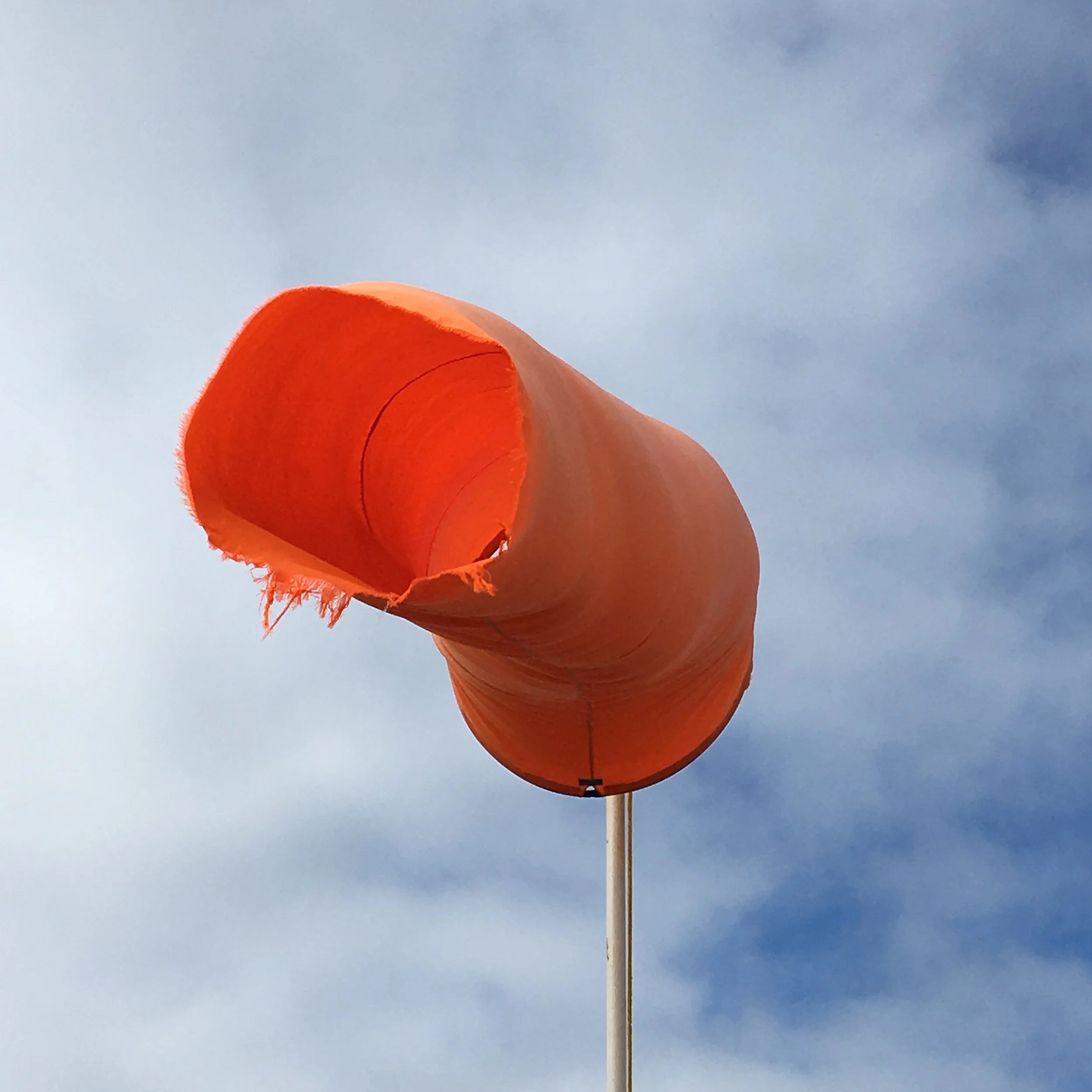 Paper Houses Likes - Places We Love