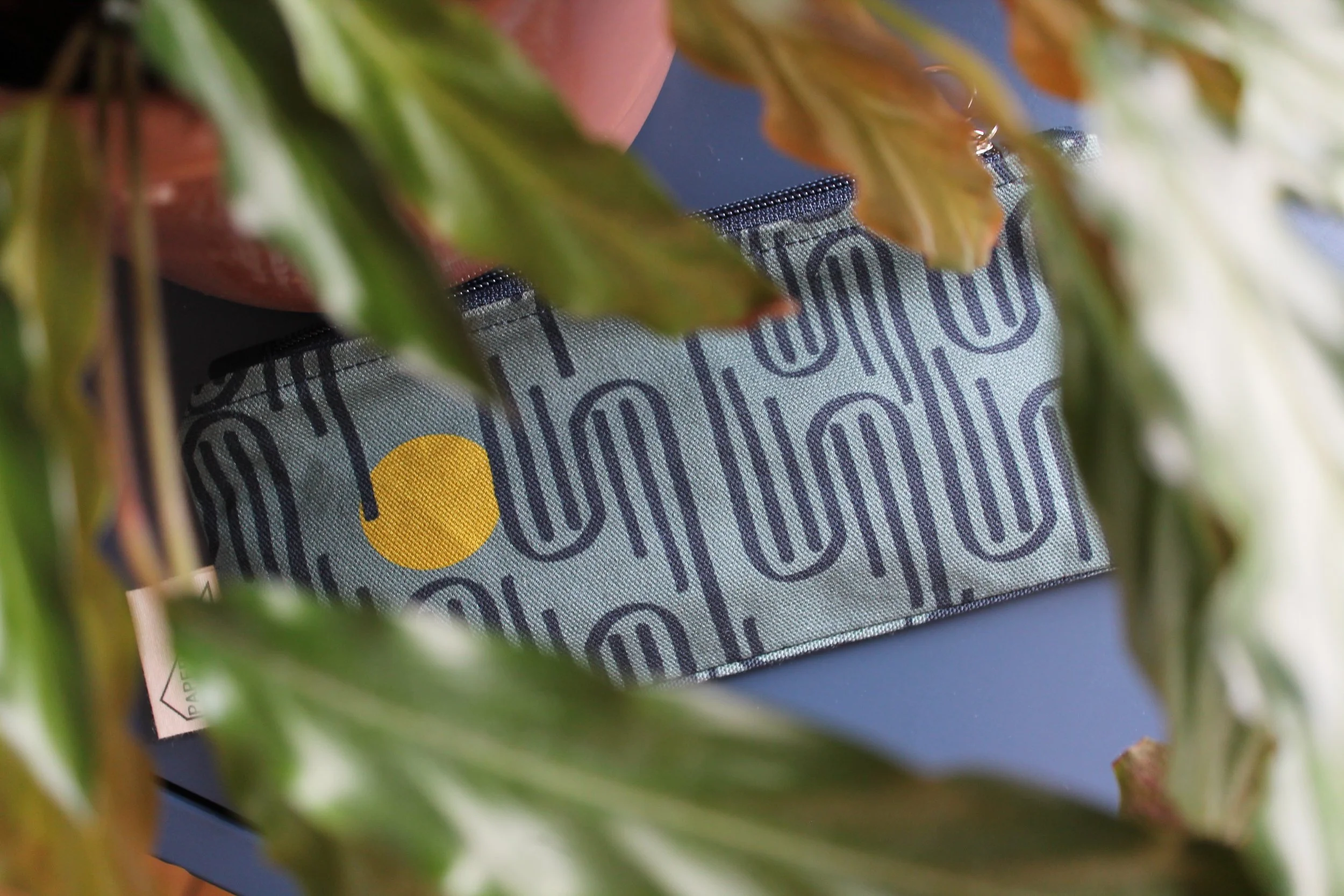 tay lichen long case.JPG