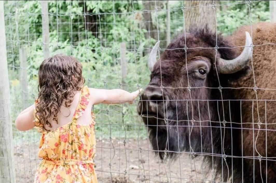 Gracie with Bison.jpg