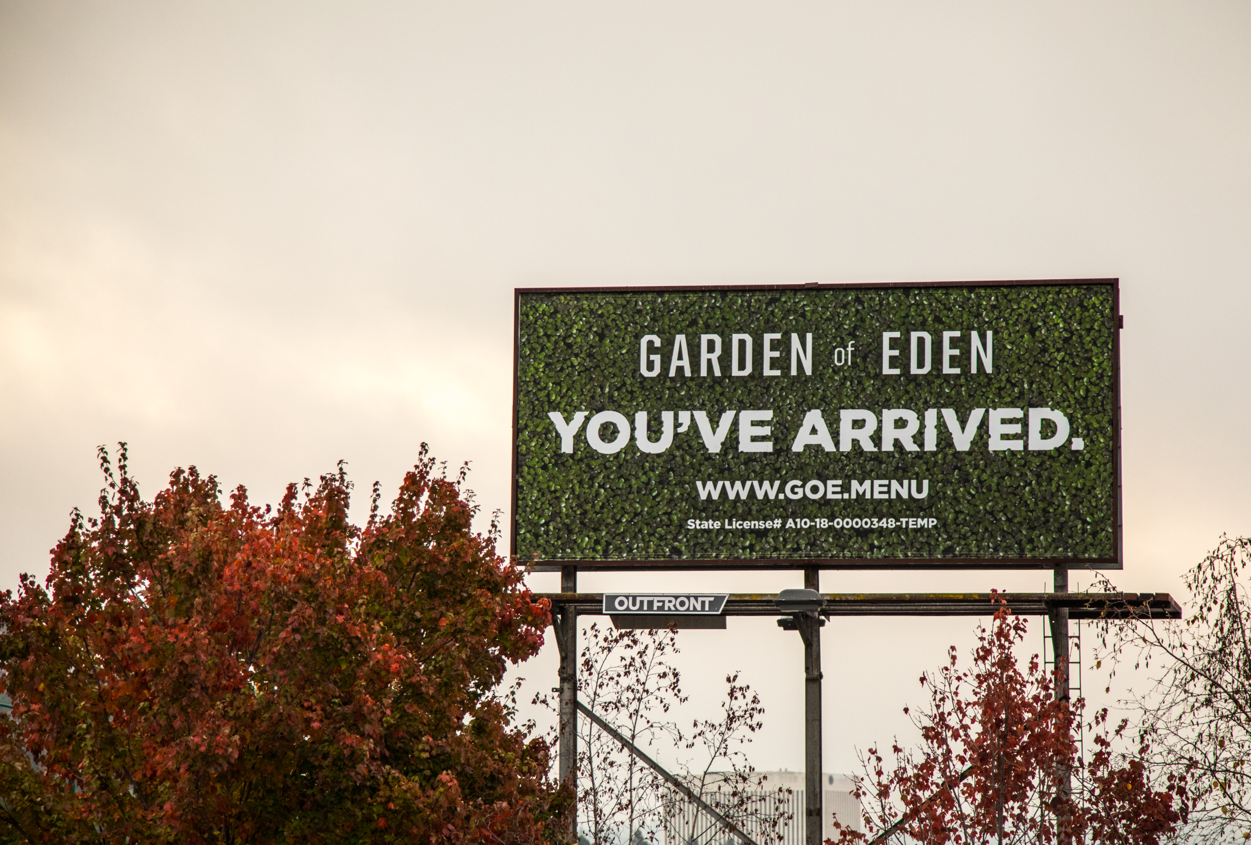 Garden Of Eden