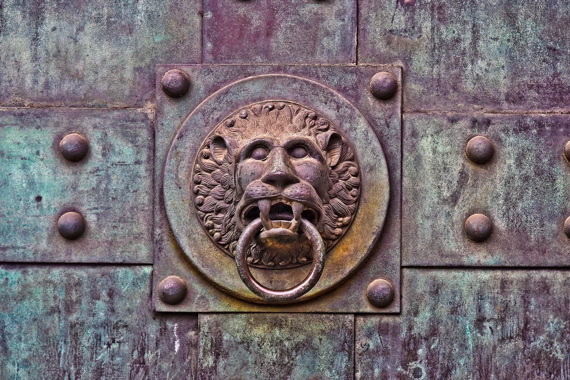 Door knocker lion.jpg