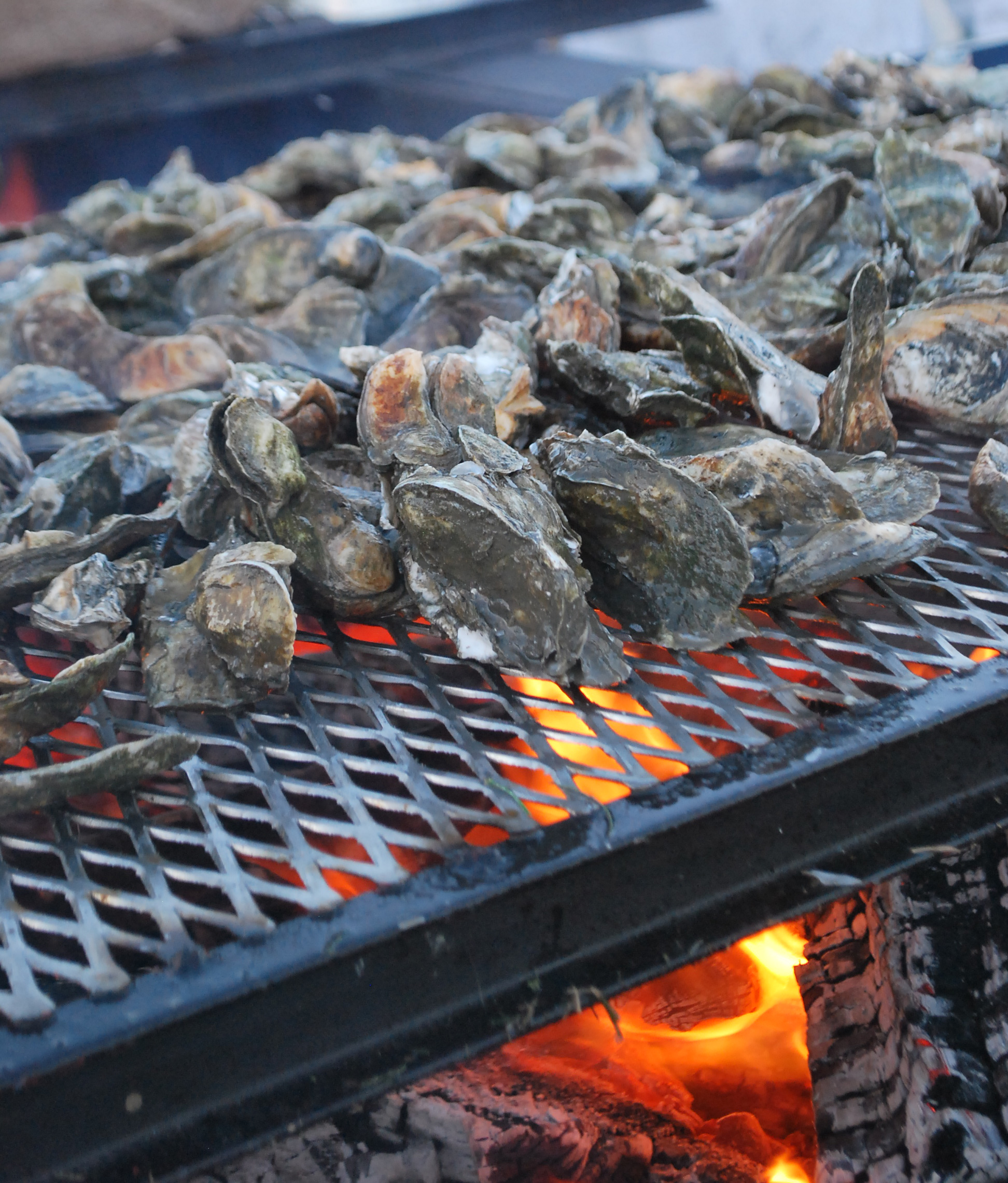 roated oysters.jpg