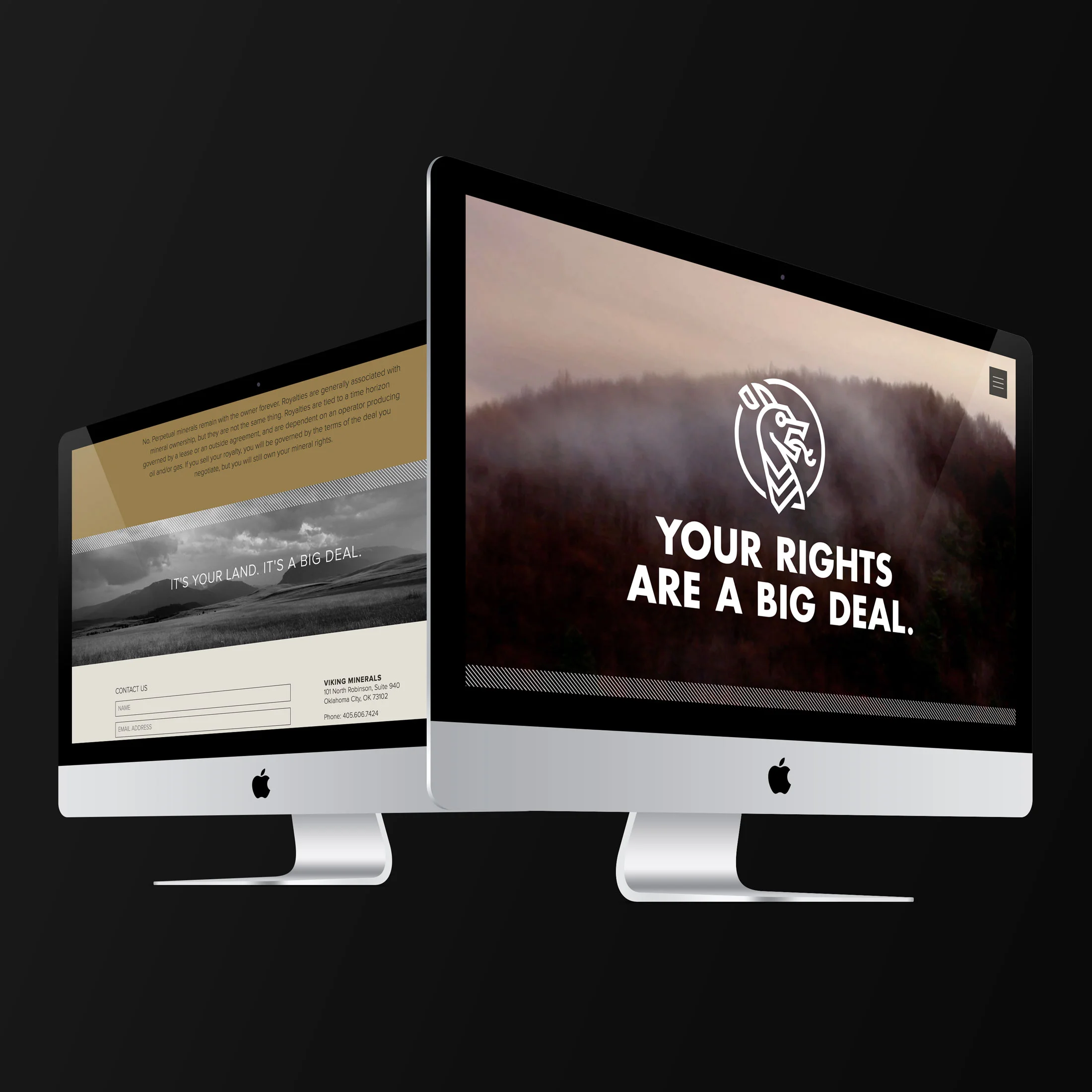 Viking_desktop.jpg