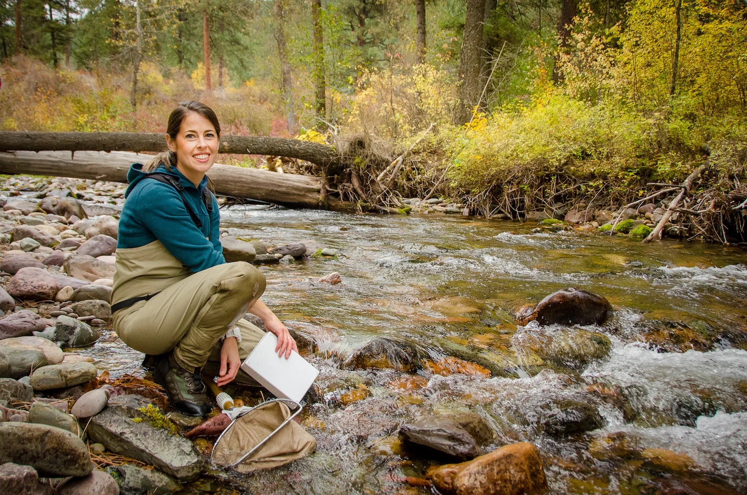 cromwell-ecology-outreach.jpg