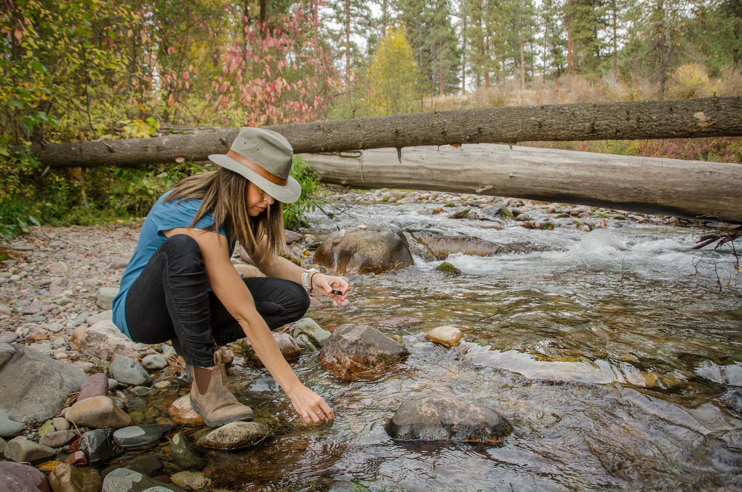 cromwell-stream-ecology.jpg