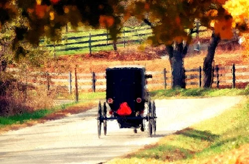 Episode 12 -  The Amish 