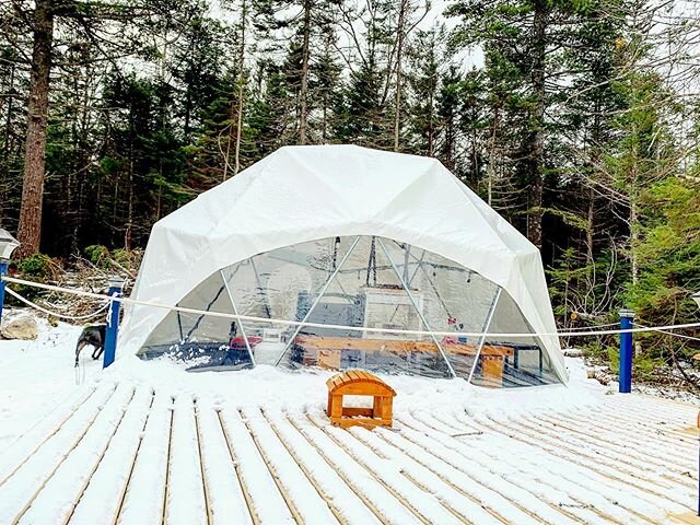 Our geodome might be covered in snow right now, but in just a few months, it will be open 🌳for 🌞business🎉! If you are already dreaming about unplugging and recharging this summer, check out our website and book your getaway now!