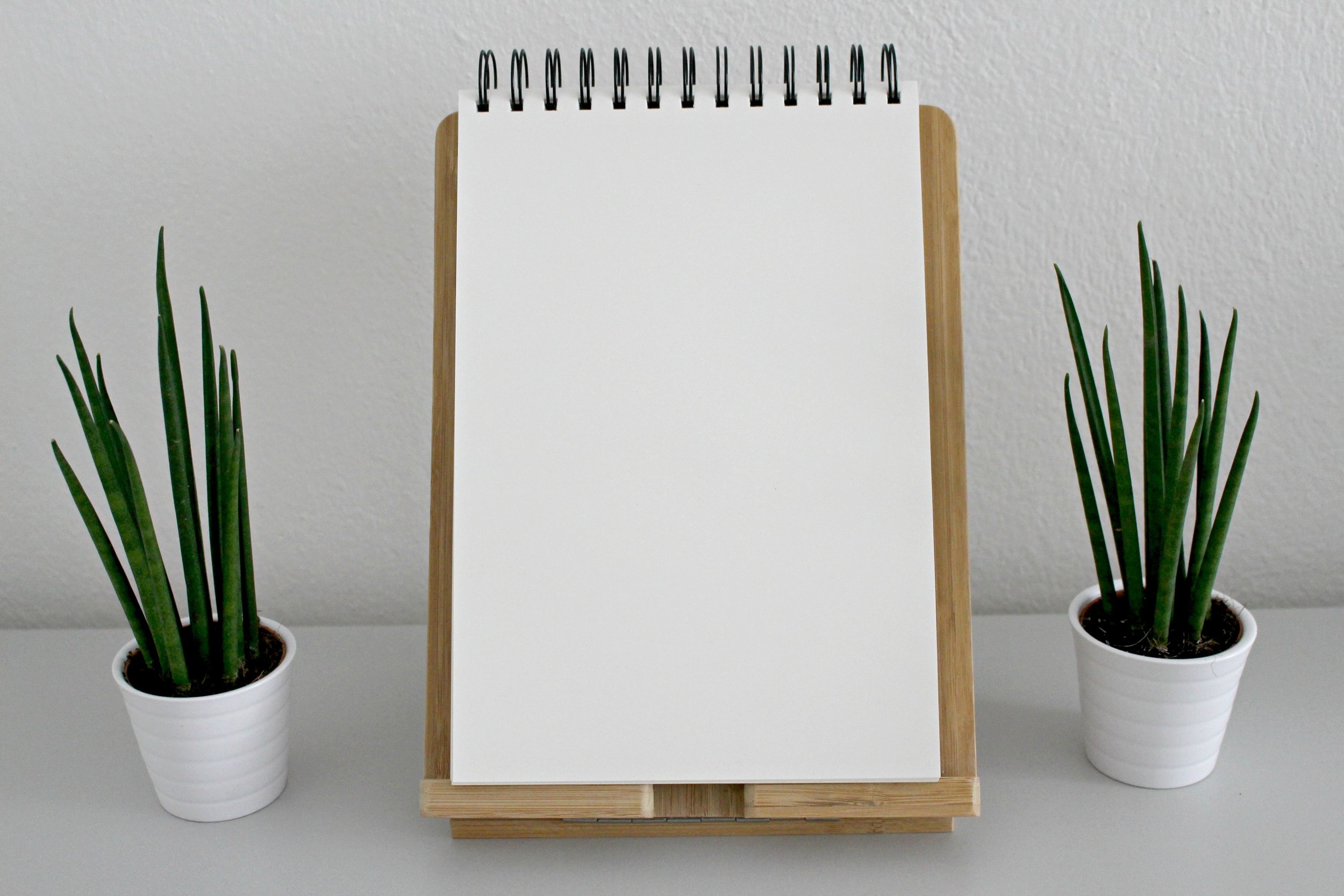 blank-book-pages-desk-531844.jpg