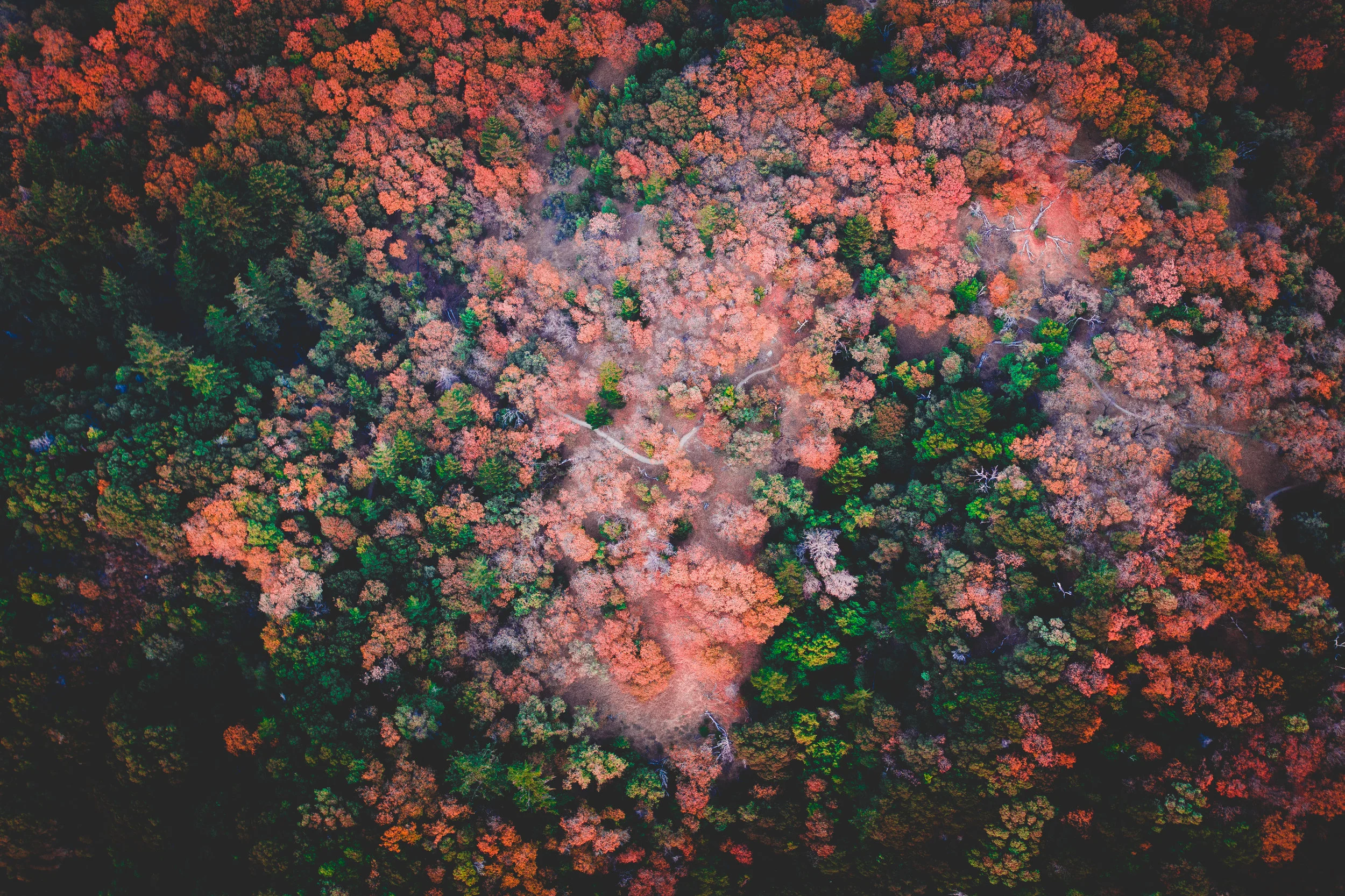 How To Pick The Right Type Of Trademark Application