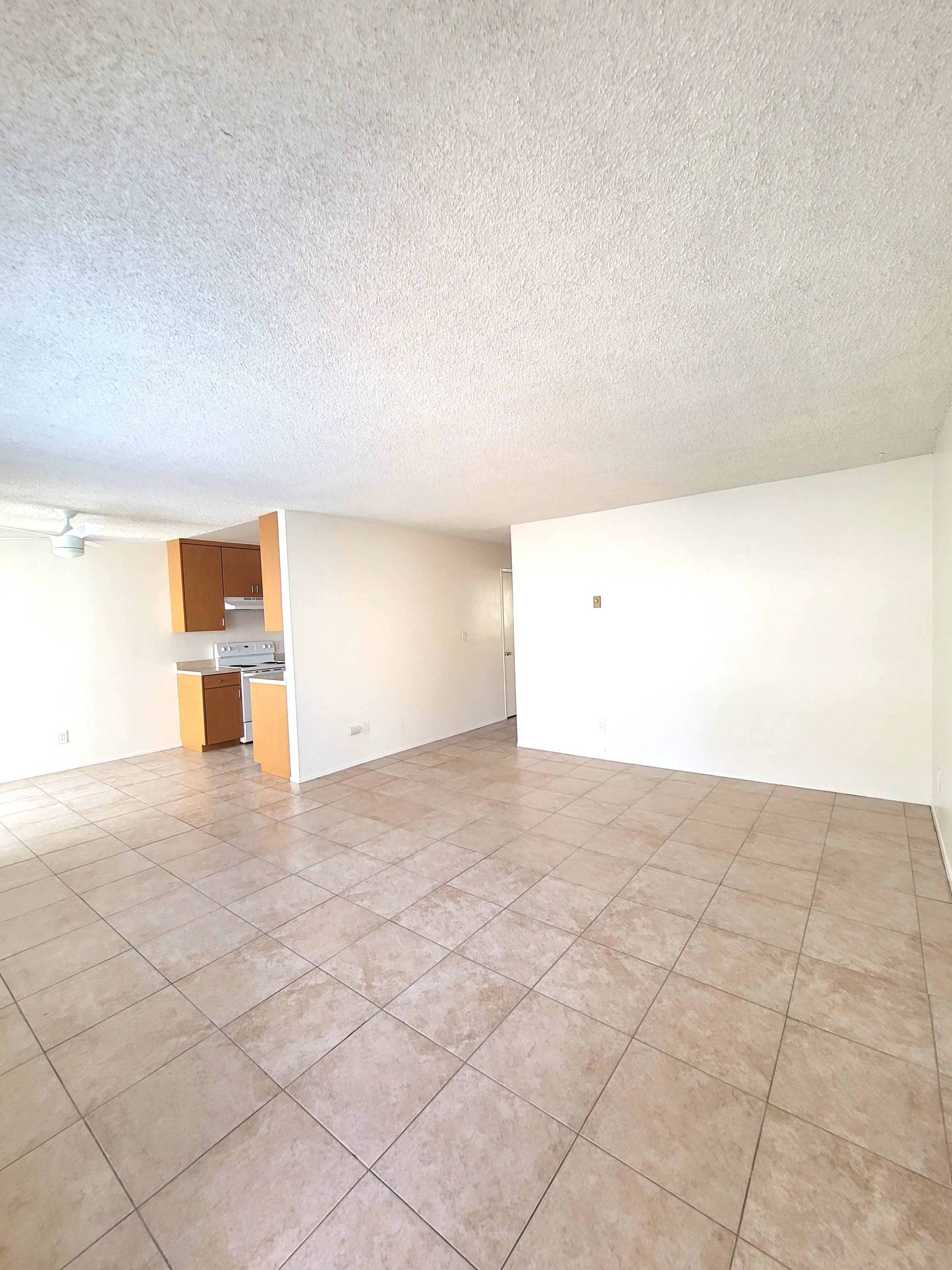 1827-B Missouri Livingroom2.jpg