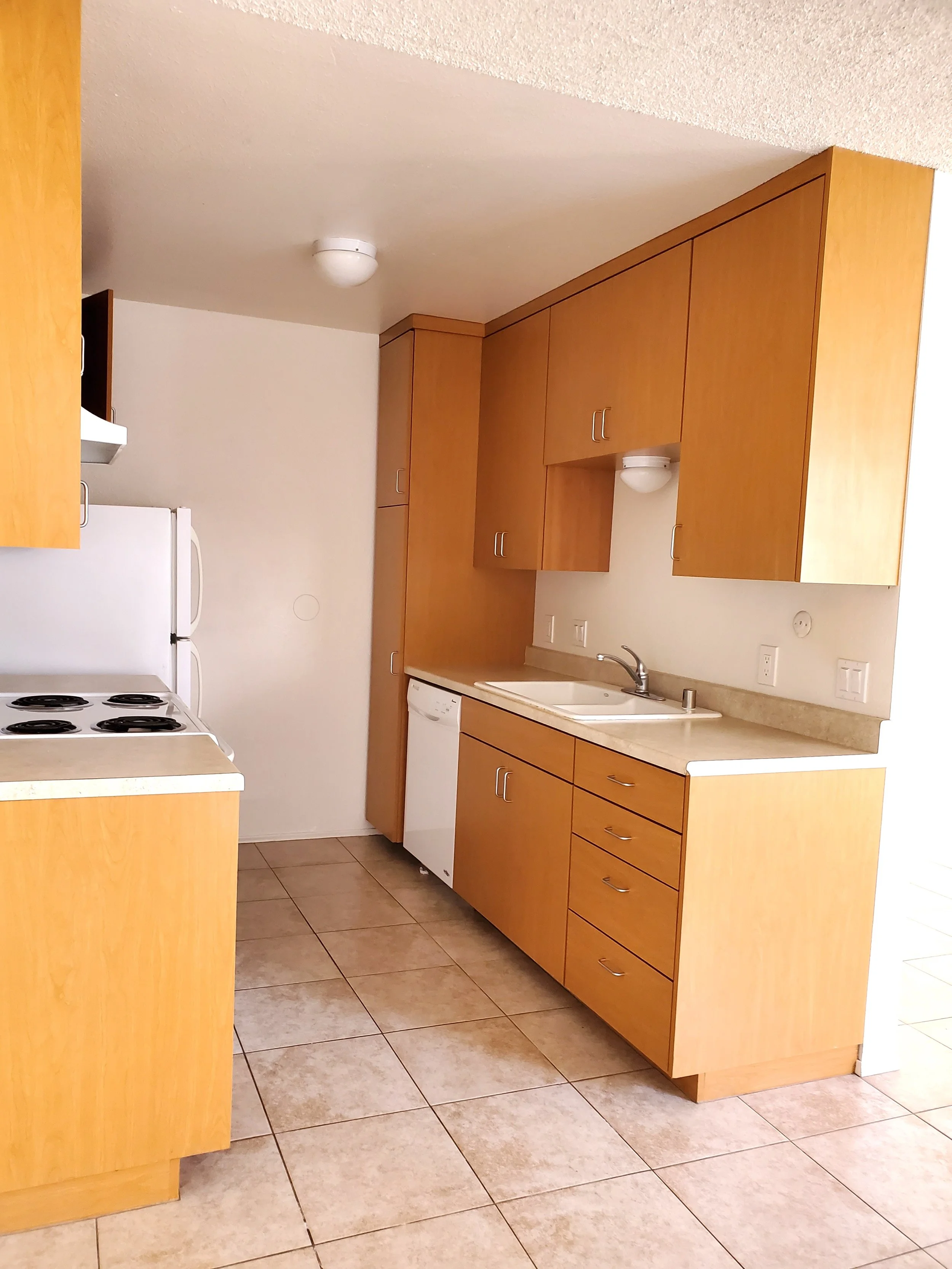 1827-B Missouri Kitchen.jpg