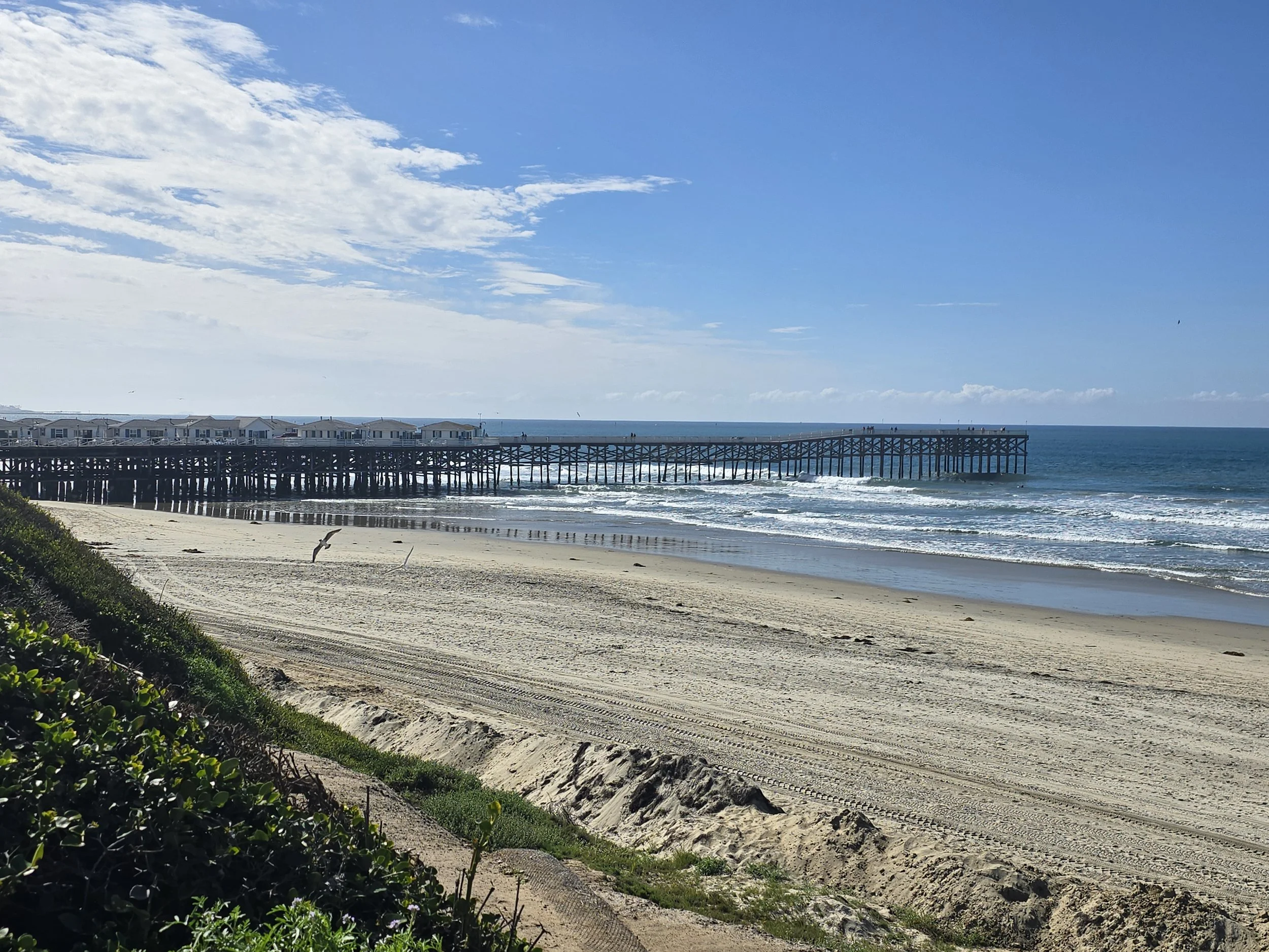 Ocean with pier.jpg