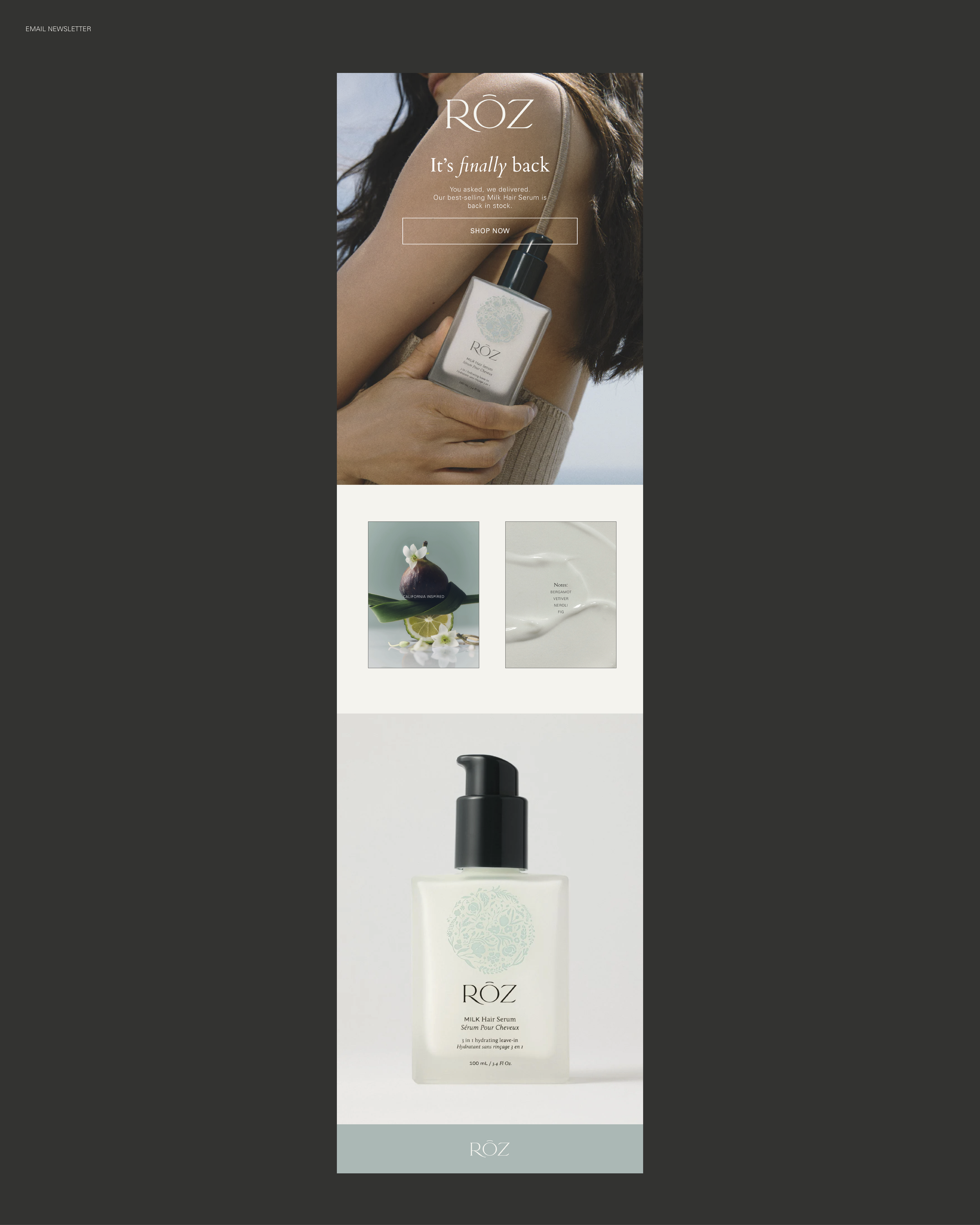 Portfolio_ROZ-Hair_Presentation_Thuyvan-Kat-Pham_8.27.2026-02.png