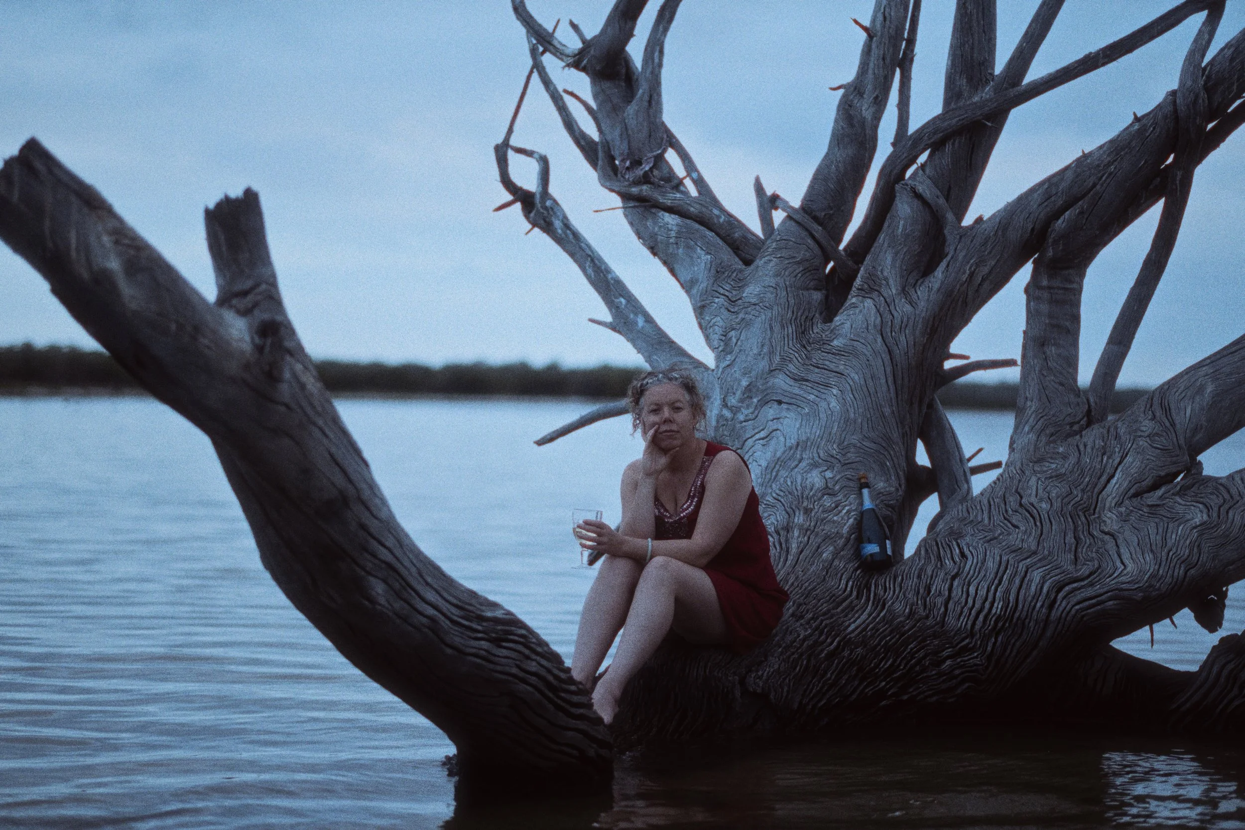 DSCF9511- 0 Cinestill 800t - nice.jpg