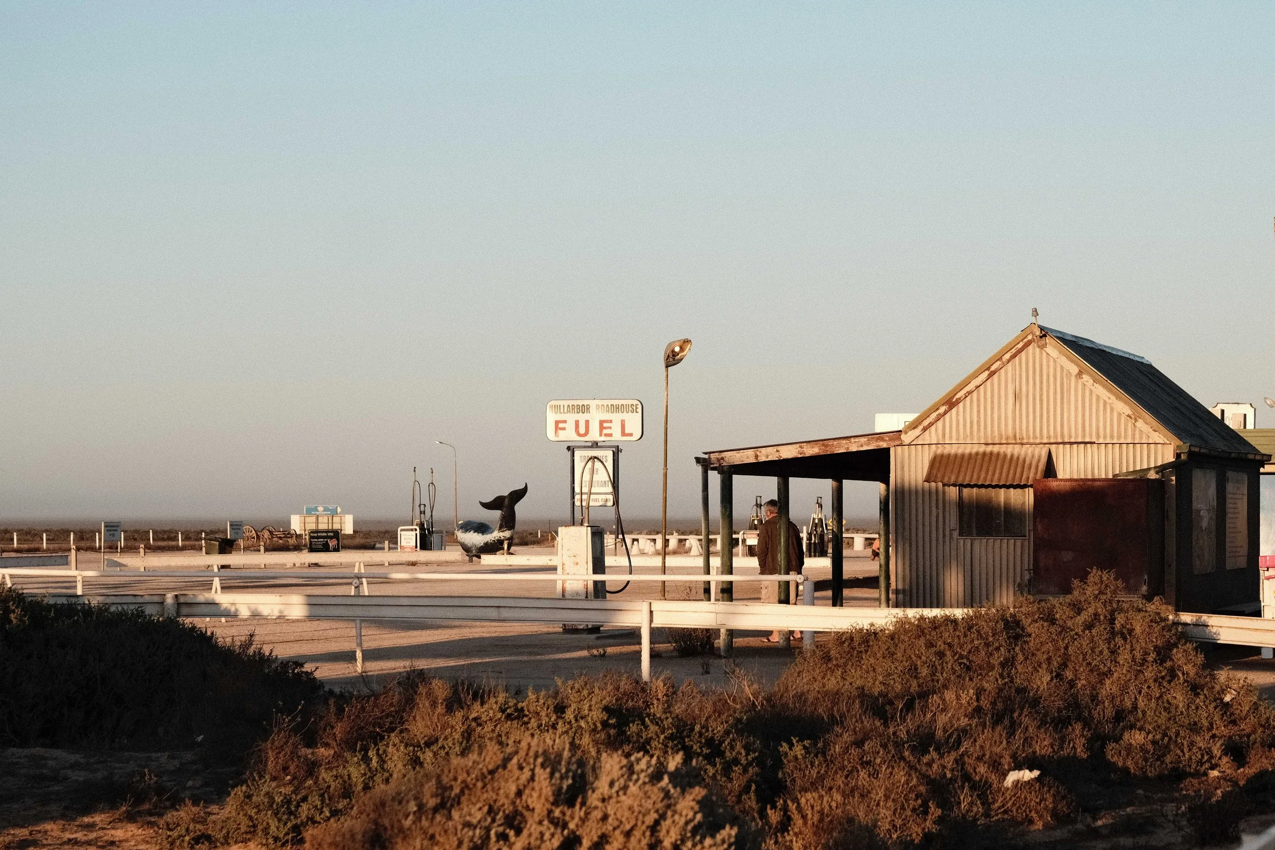 DSCF4319.jpg