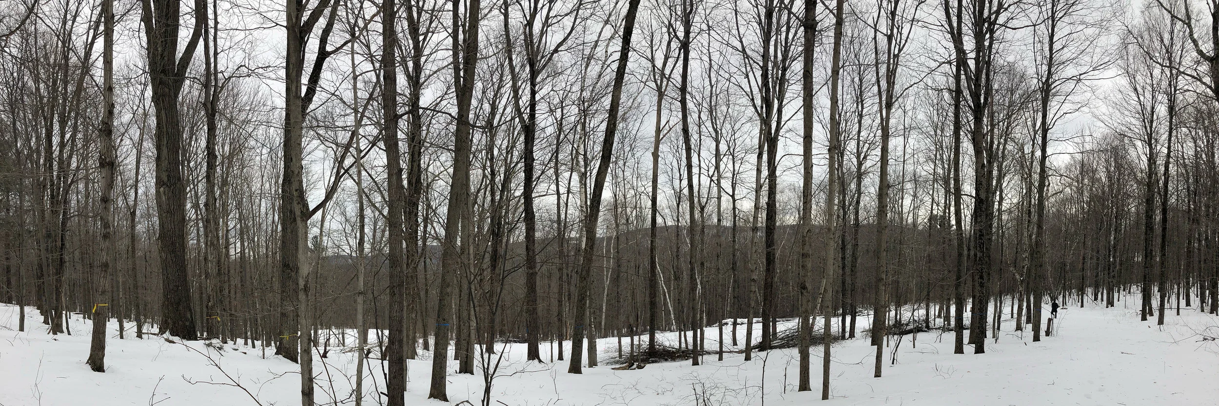 Site_Snow.jpg