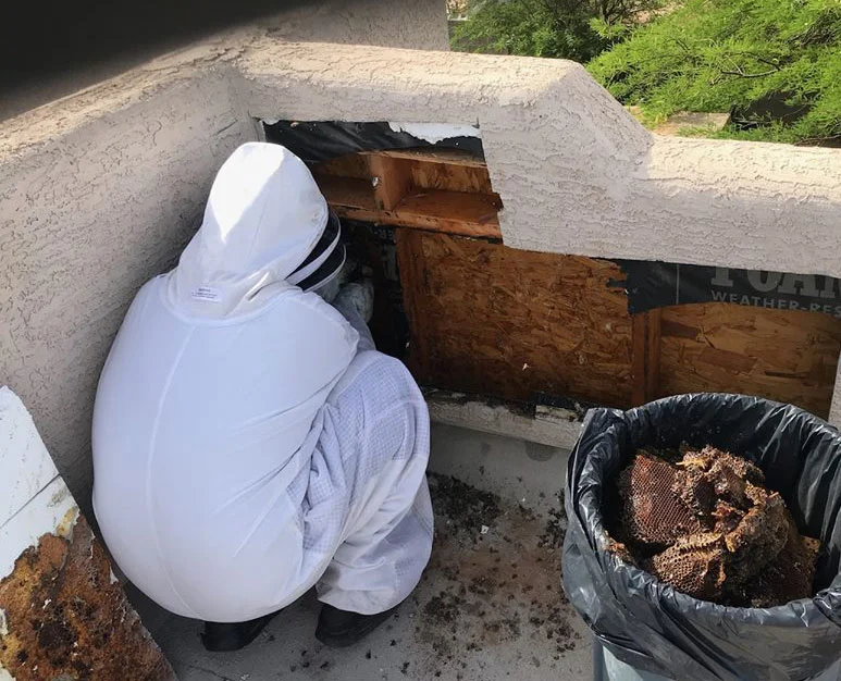 Removing honeycomb in wall