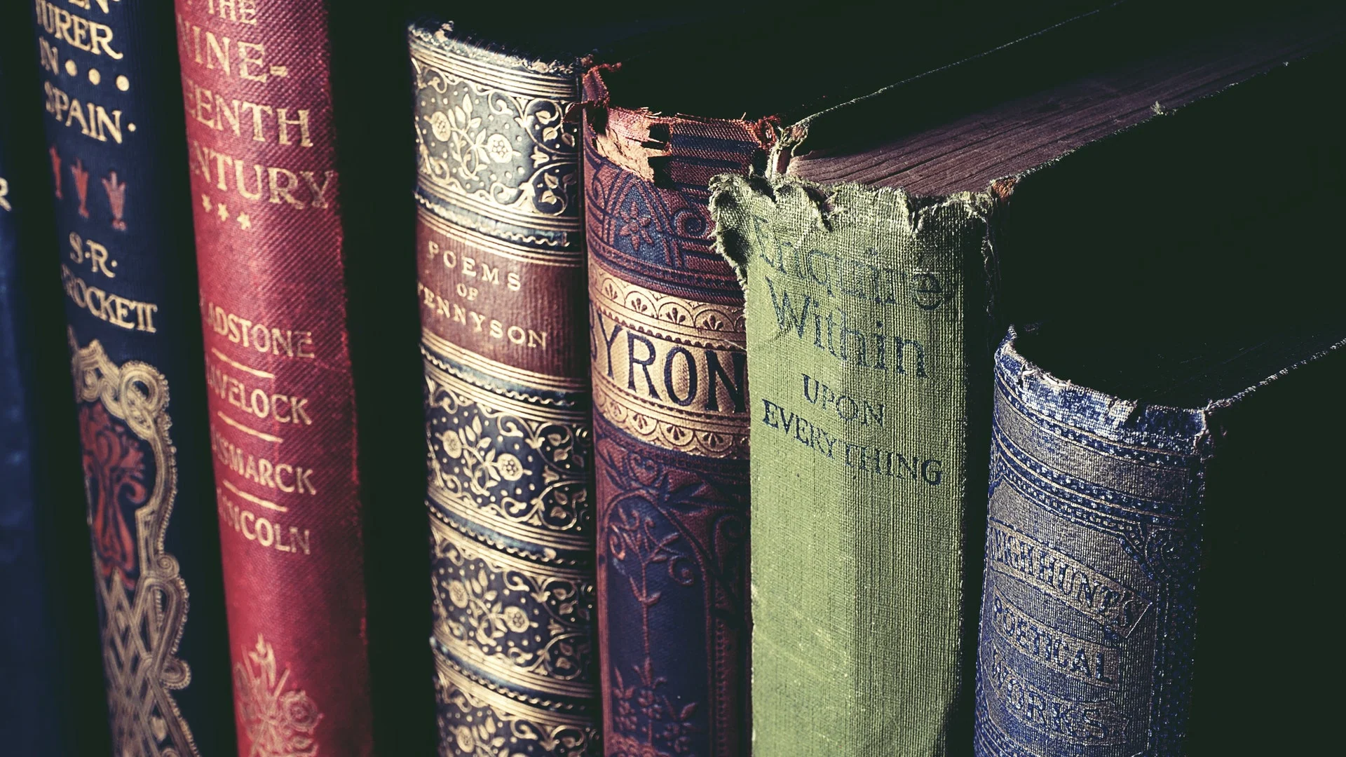 Silverfish are primarily a nuisance pest because they can cause serious damage to personal items and property. Old books are commonly damaged by silverfish.