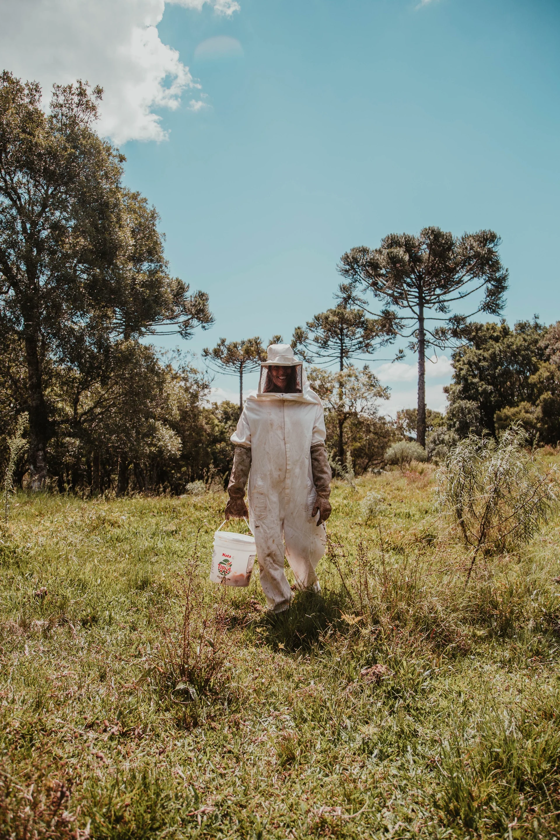 litchfield park bee removal service.jpg