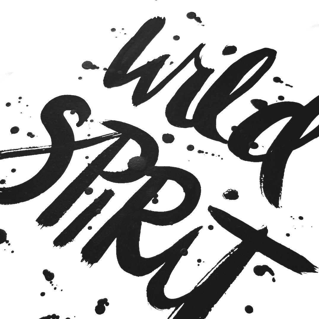 Wild Spirit Angle.jpg