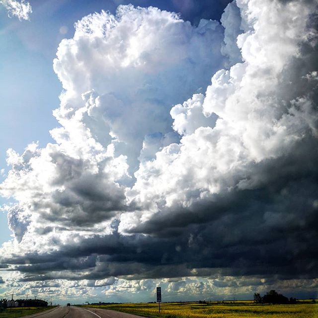 Let us spend one day as deliberately as nature. Thoreau
.
✳️ Coming soon ✳️
.
All new Wild Heart Series of hand painted word art coming soon...
.
Taken somewhere outside of #Saskatoon on #highway16. The wind gusts were so strong the Thule box moved. 