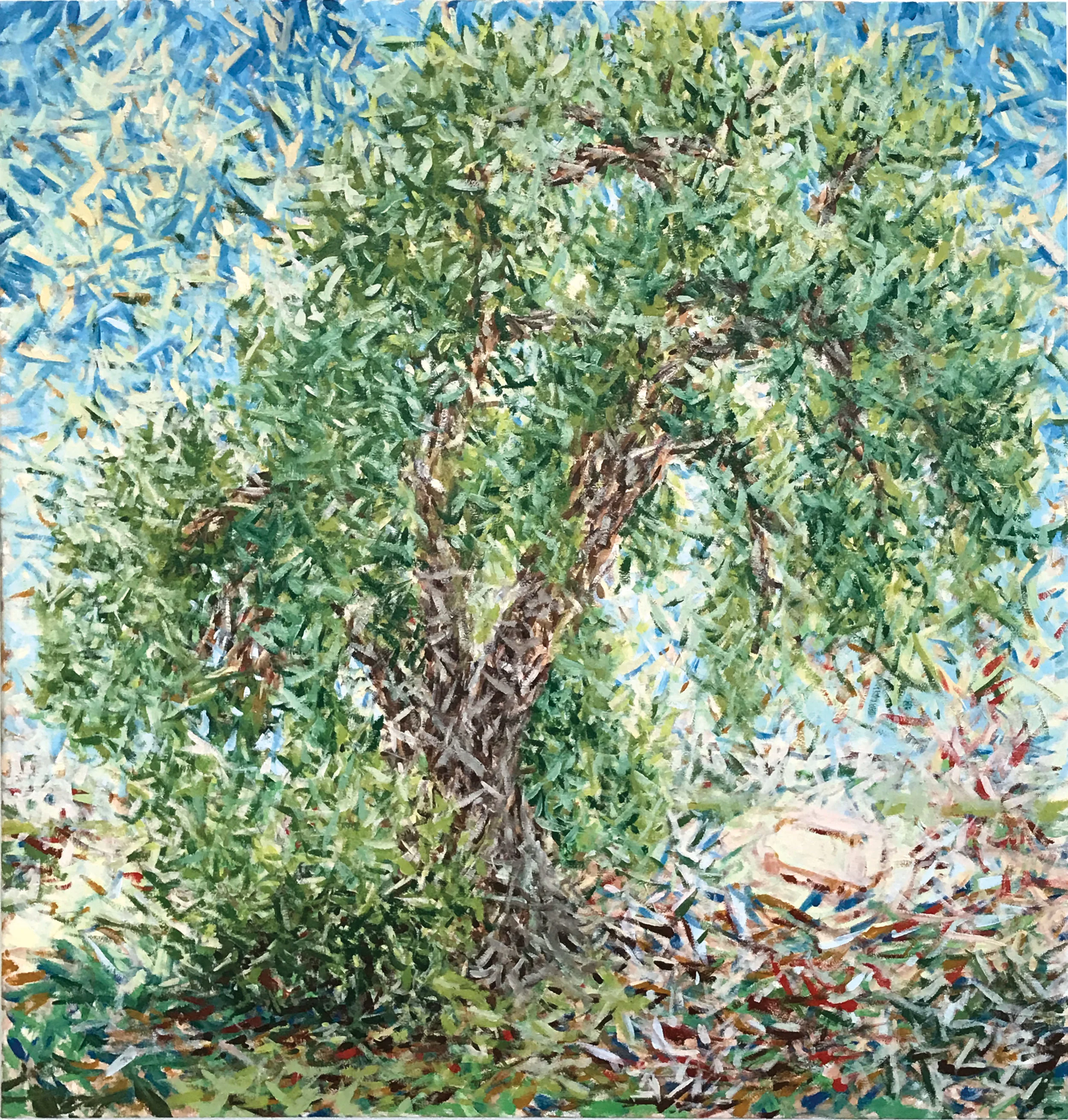 Old Cottonwood