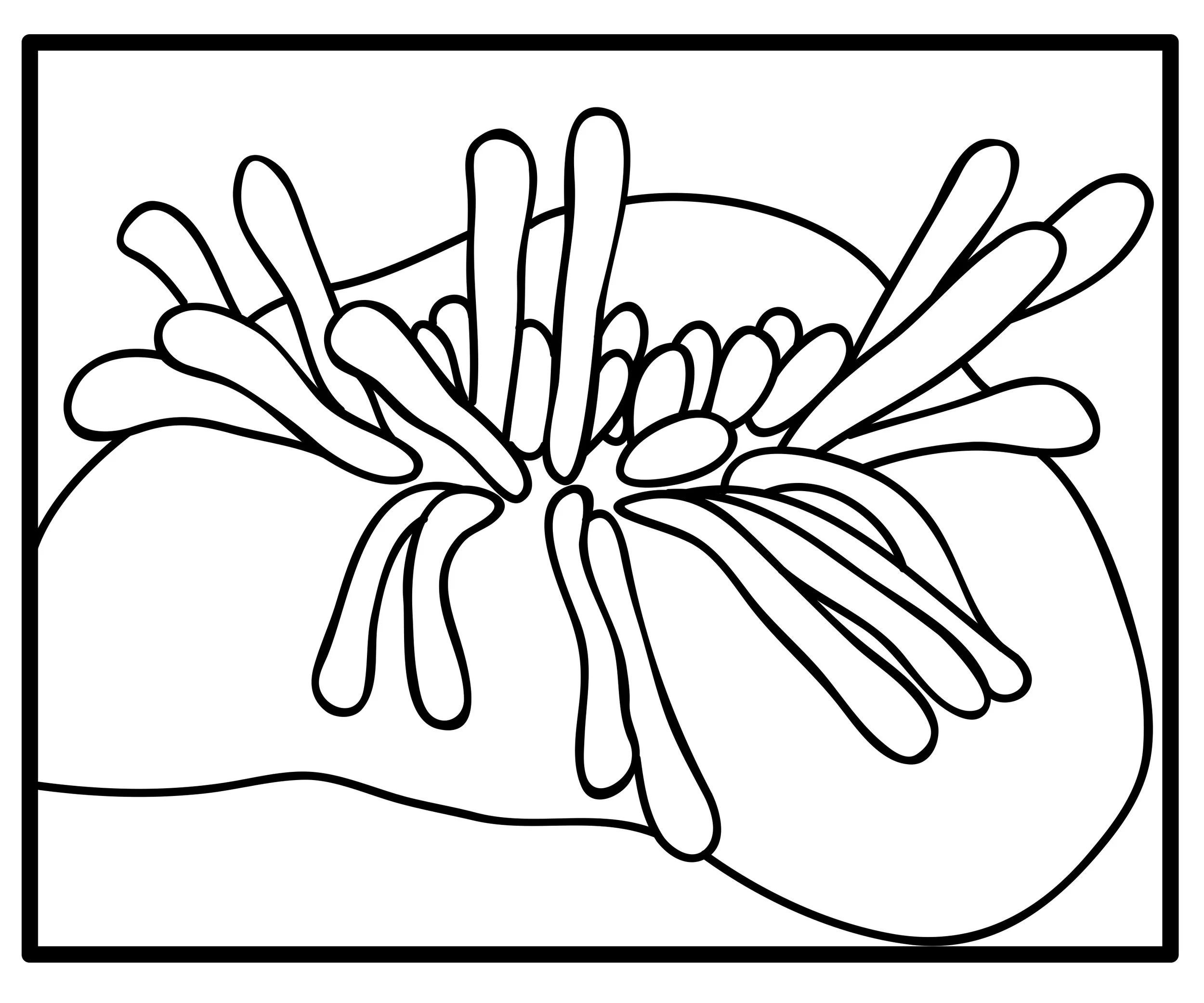 image 7.jpg