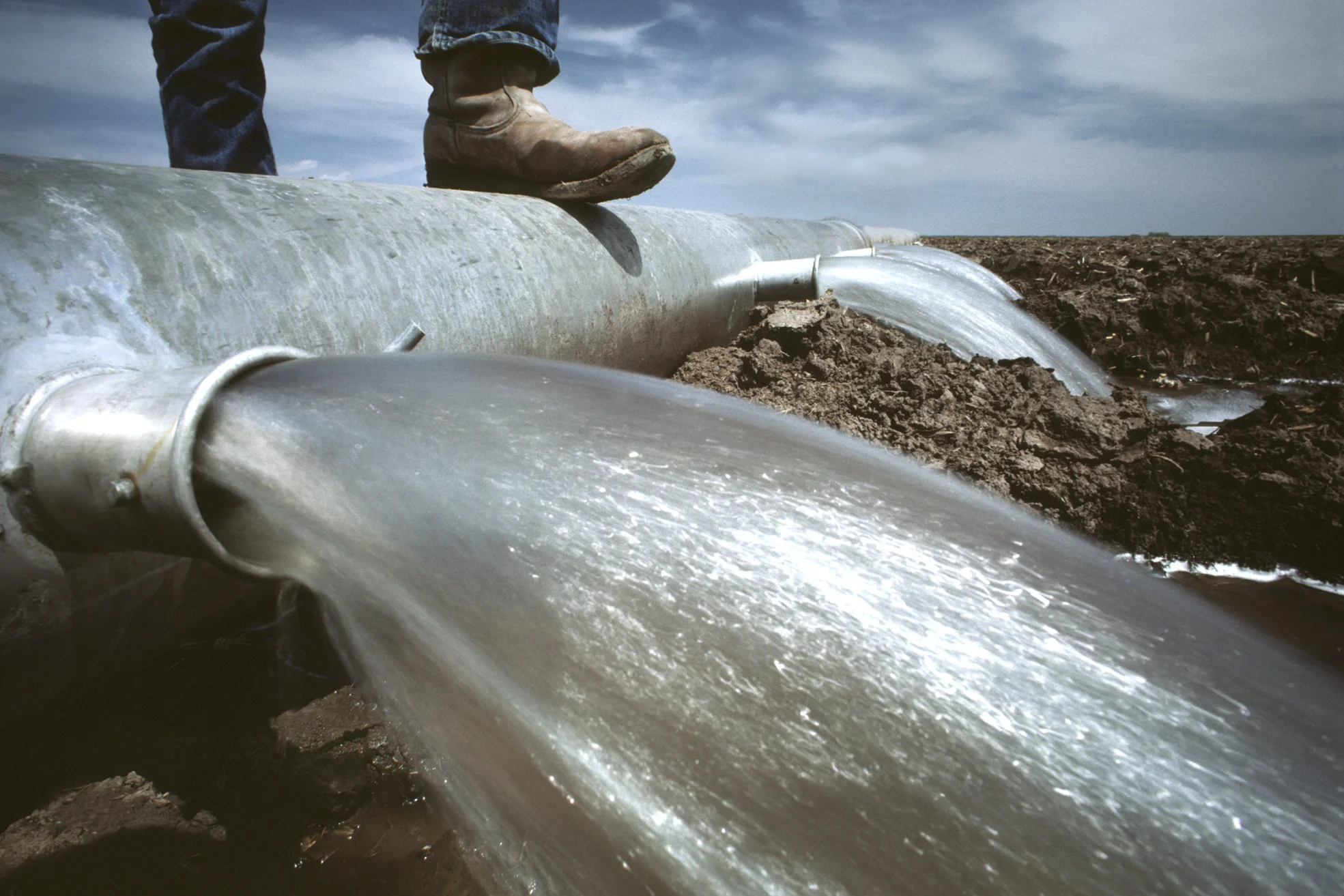 Become A Cca Western Region Cca