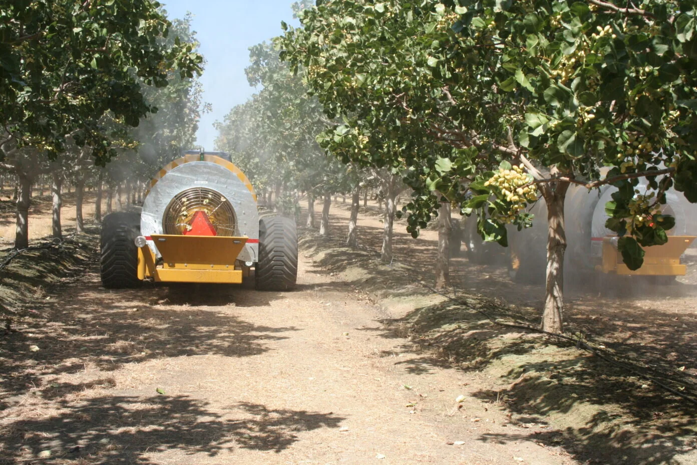 Foliar Feeding of Plant Nutrition