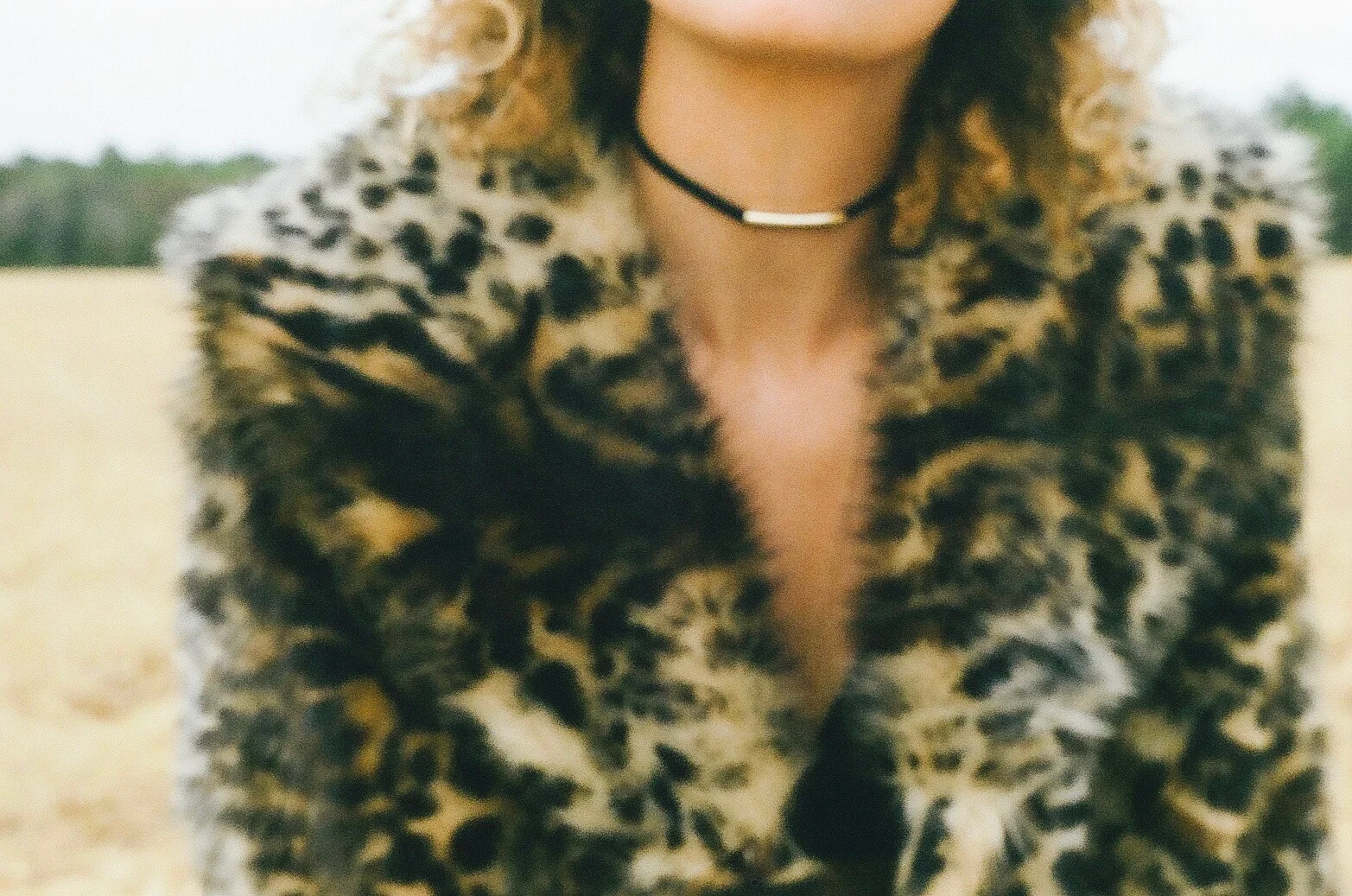 000254800001.jpg