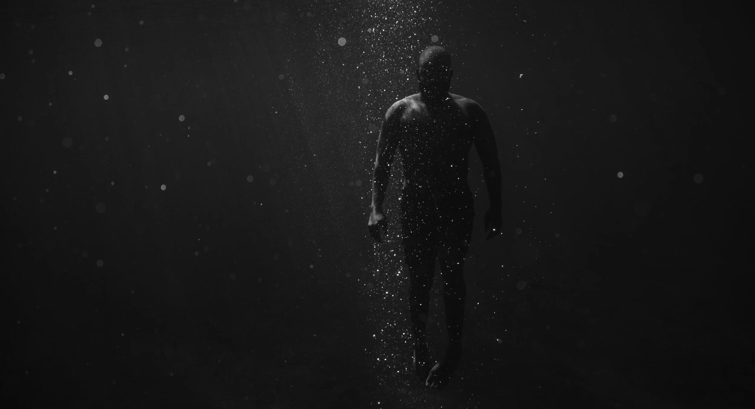 tavi-130 banner.jpeg