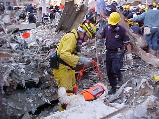 9/11 Remembered: Who We Are