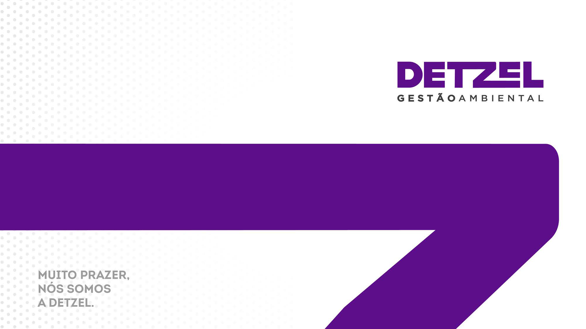 Apresentação_Detzel_TGB_03-01.png